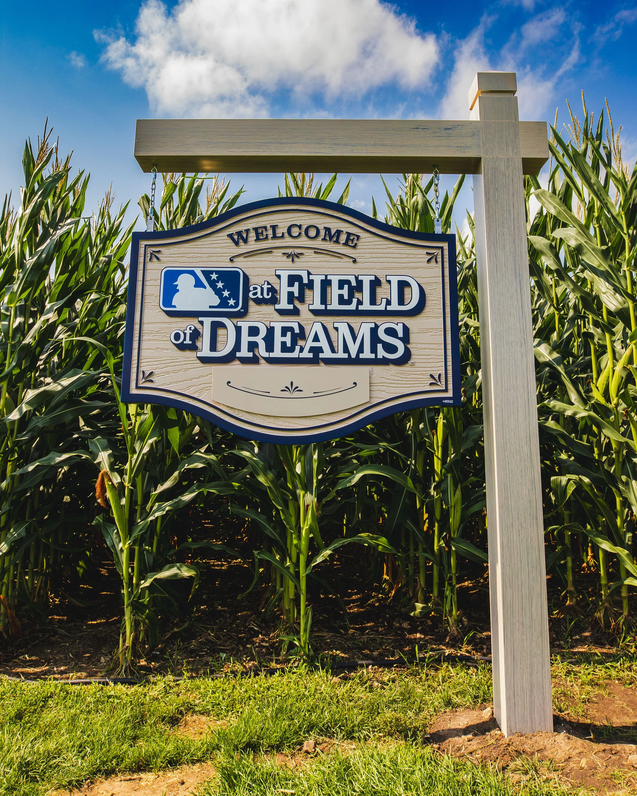 Field-of-Dreams_4X1A6844.jpg