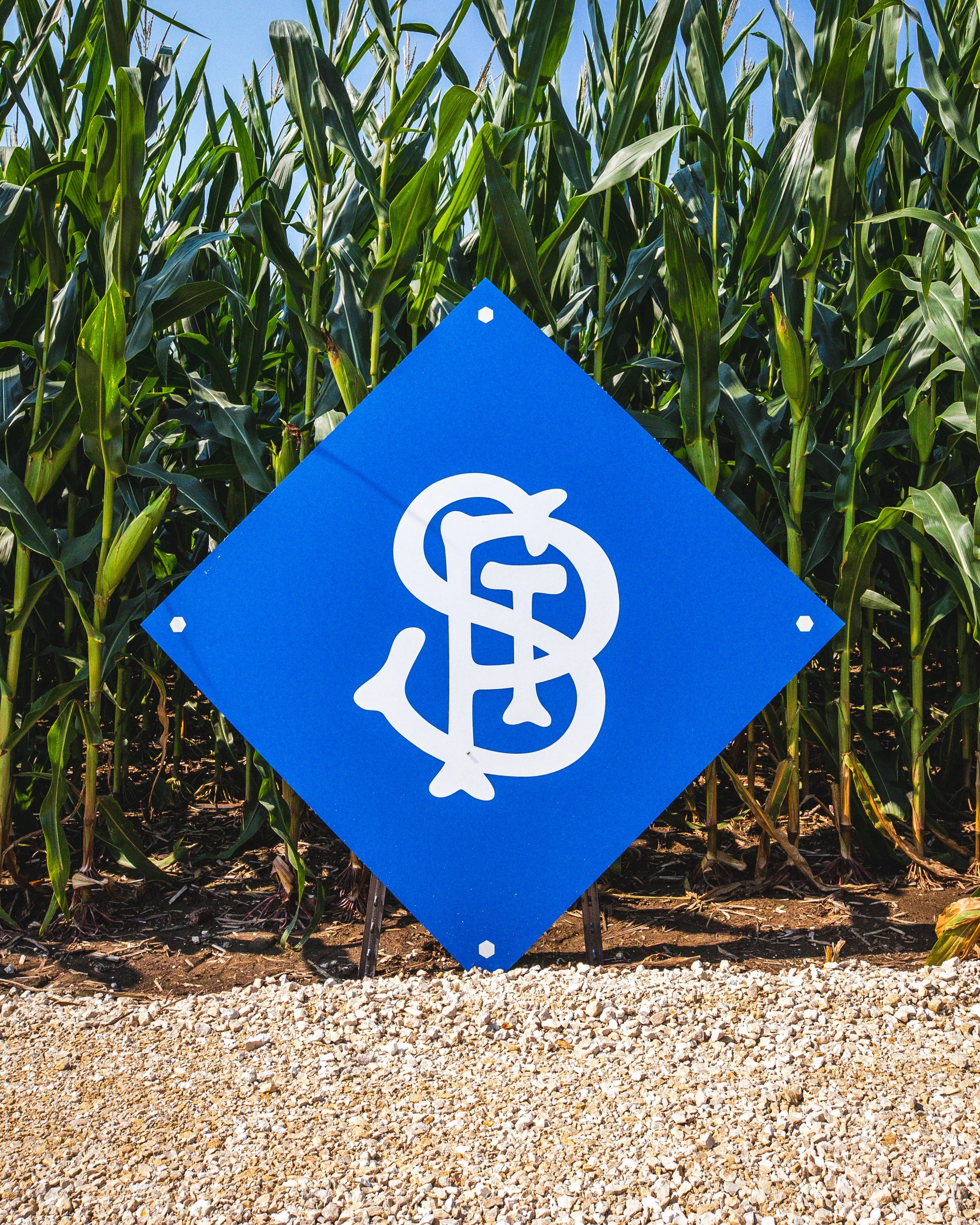 Field-of-Dreams_4X1A6887.jpg