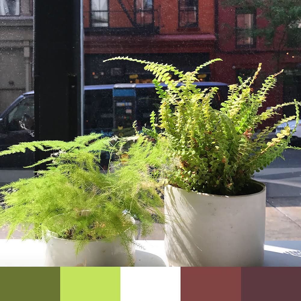 🌤
.
.
.
.
.
.
.
.
.
.
.
#colorswatch #colorsofny #igcolors #ig_colors #ig_nyc #newyork #nyc #ny #colors #design #inspiration #swatch #colours #cores #bright #color #igersofnyc #ig_kids #instagood #instadaily #instaoftheday #iphonephotography #iphone