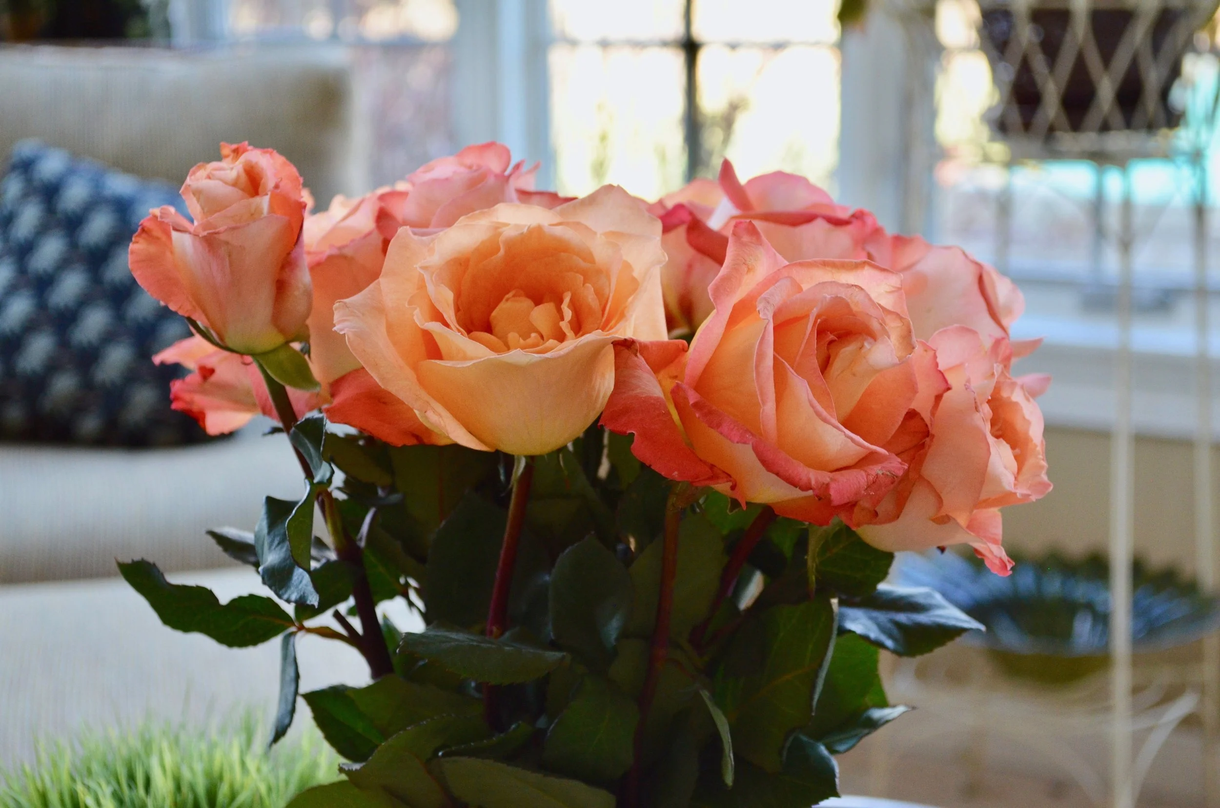 DSC_0149.jpg