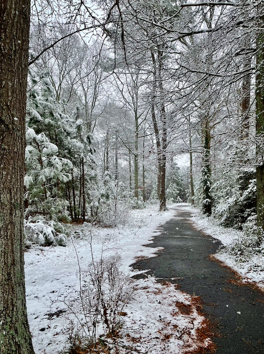 February Wins &amp; Woes