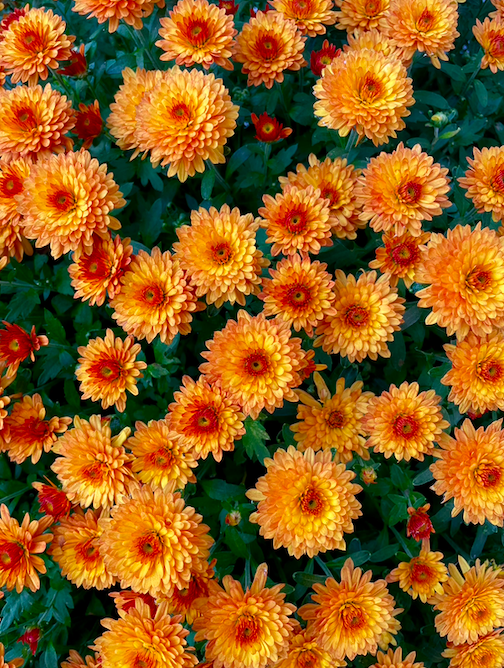 OK, October!