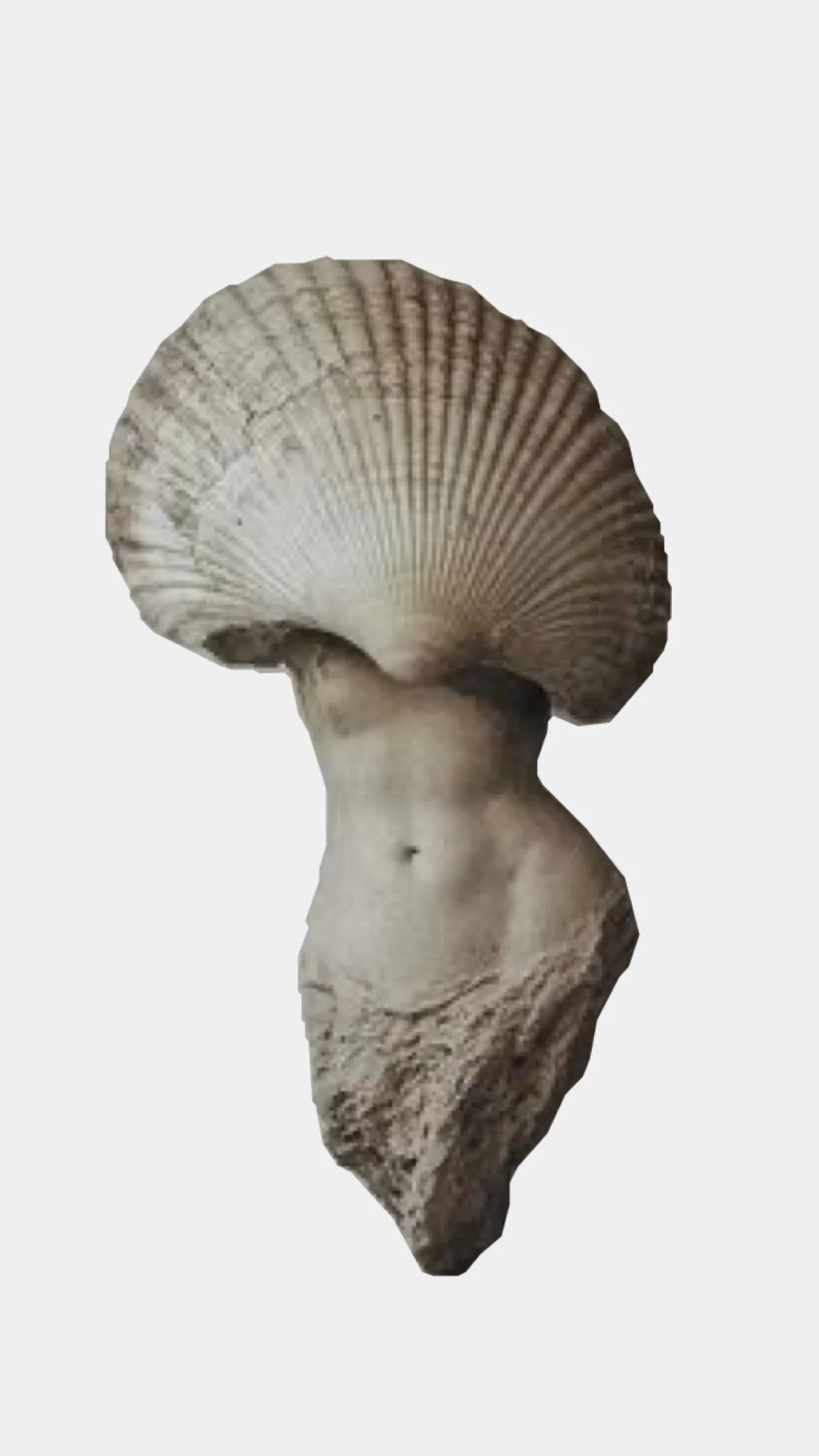 VENUSIAN SERUMS : PRIMAVERA EDITION