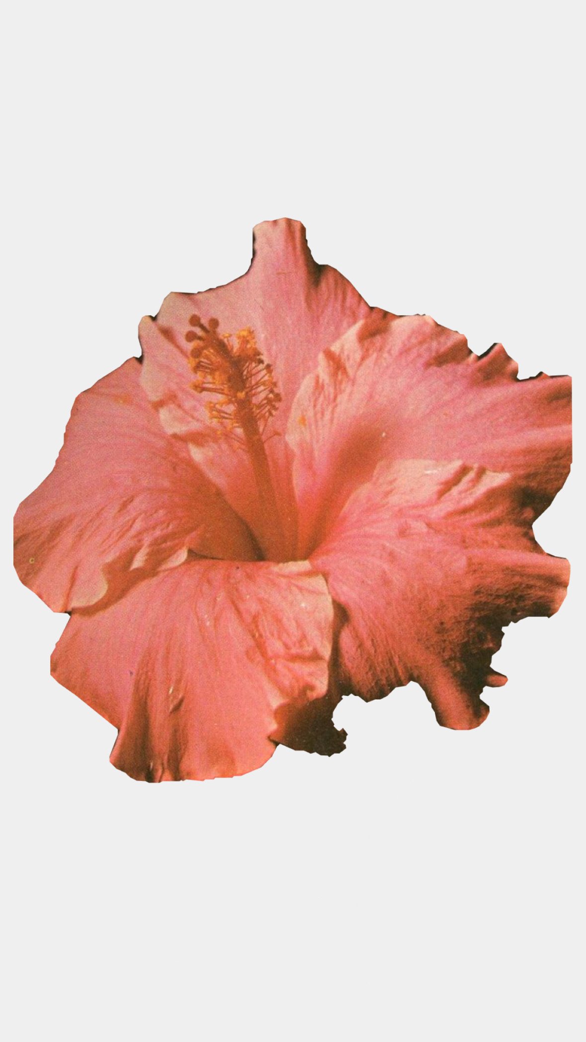 One : On : One with Aniela