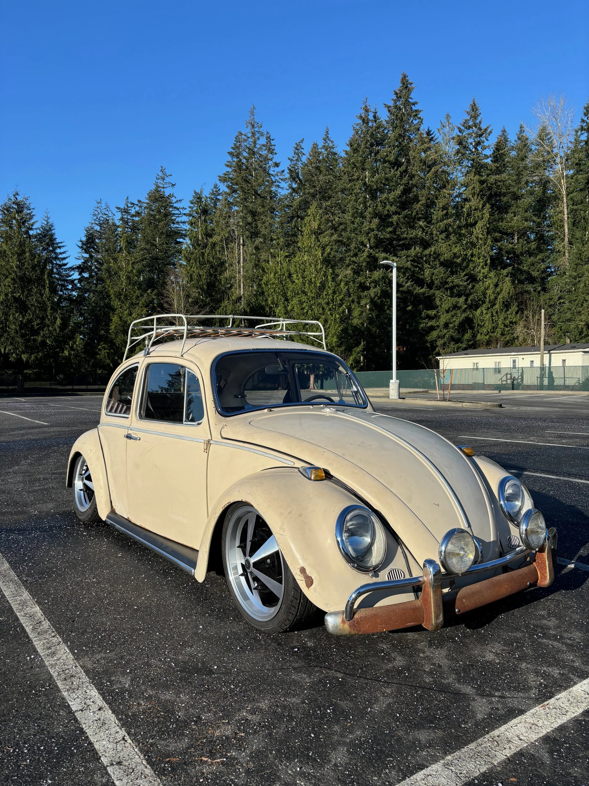 Bryan's Bug