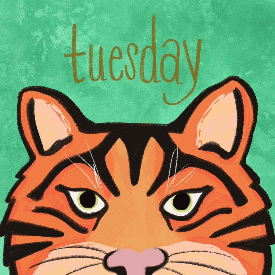 tuesday.GIF