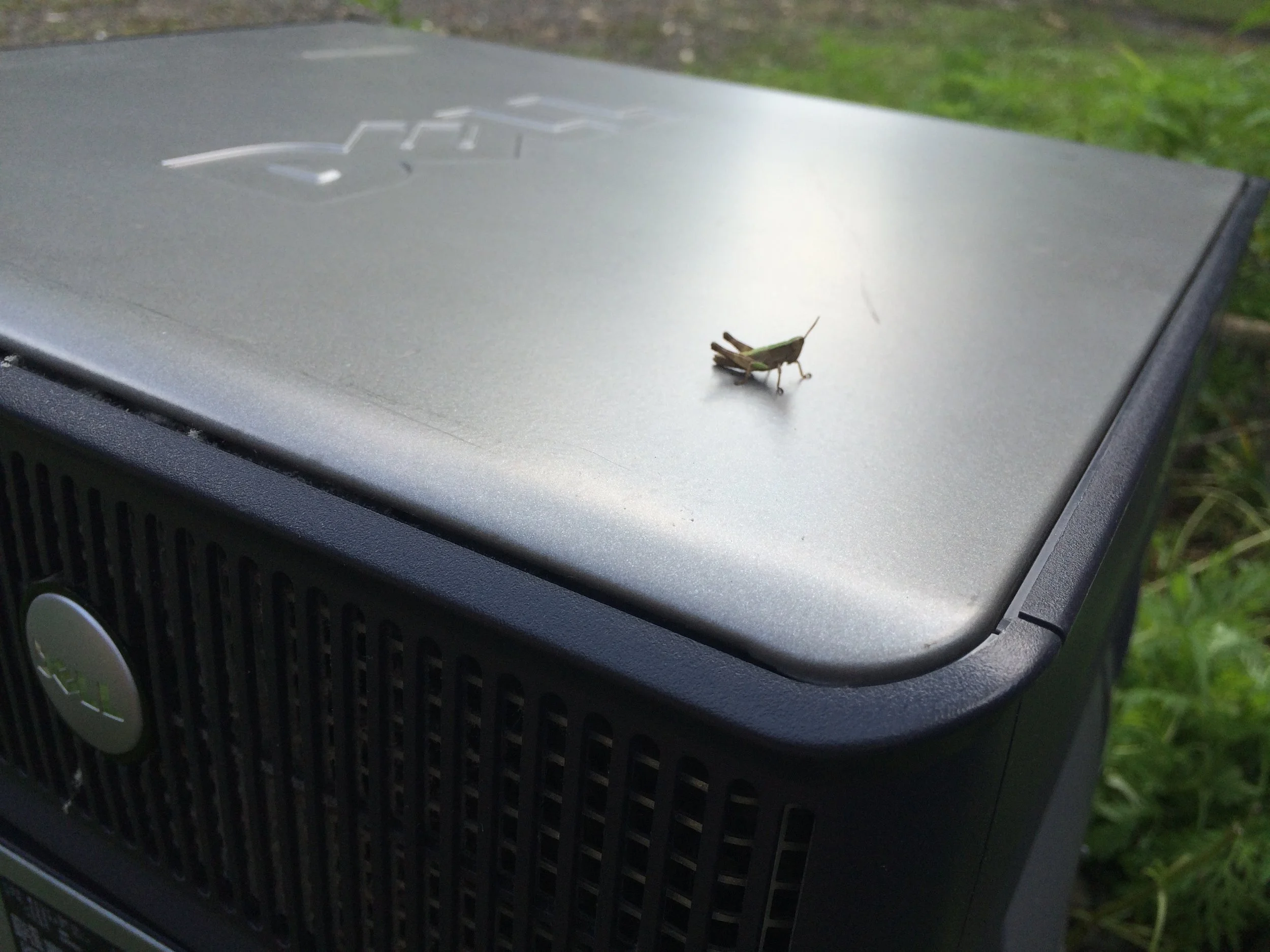 grasshopper-on-computer_25140934314_o.jpg