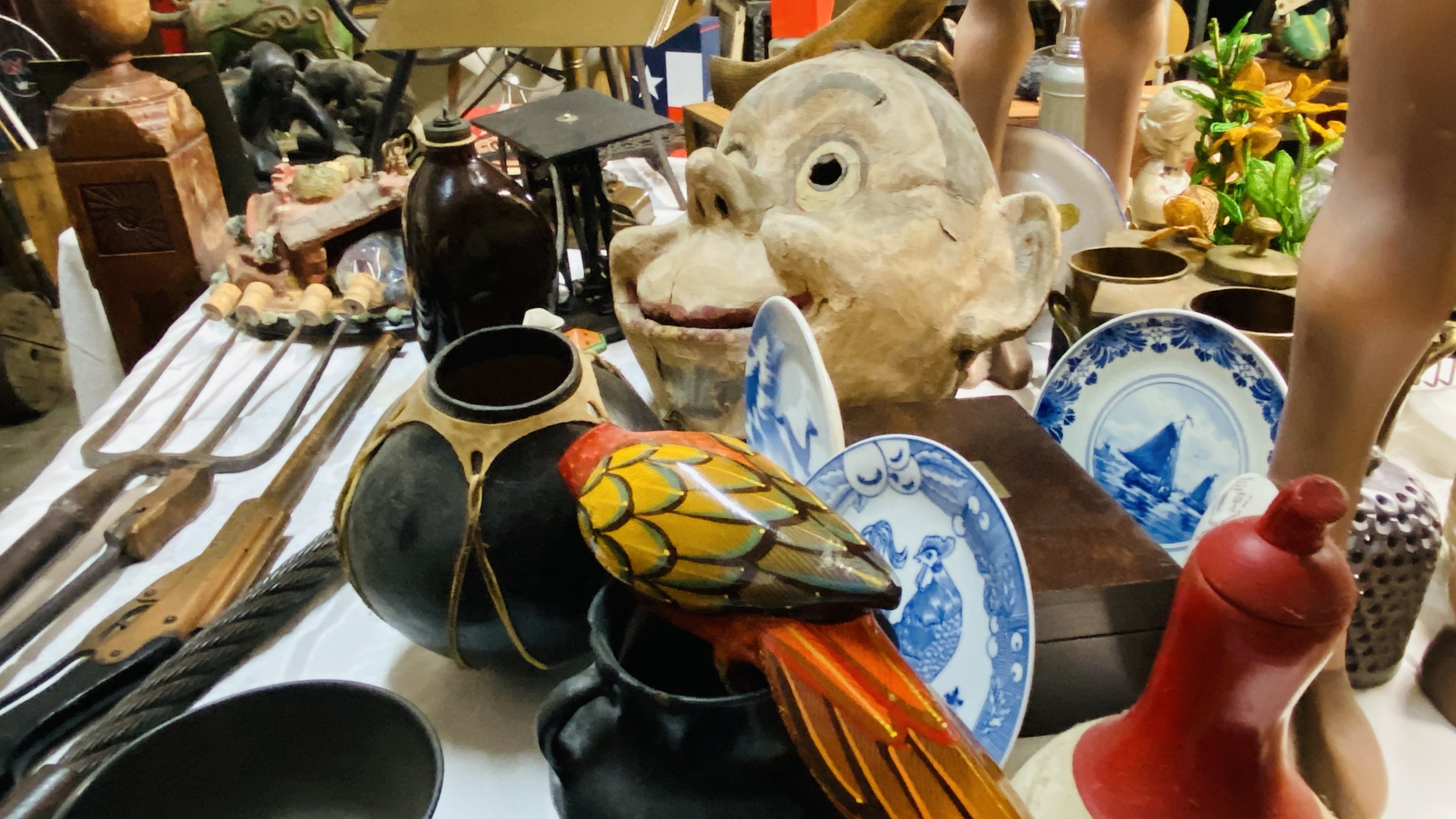 IMG_5494.JPG