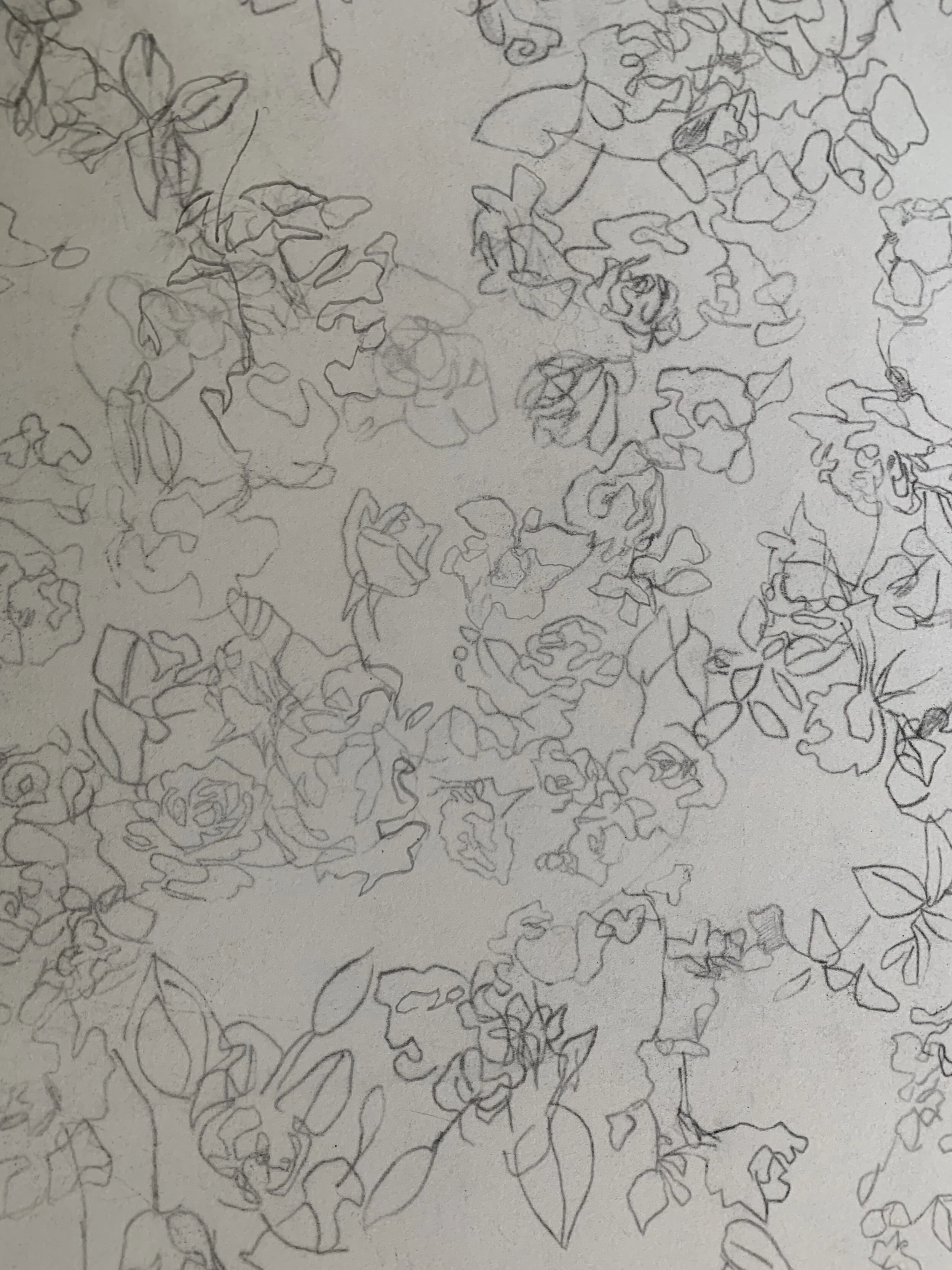 pencil roses copy.jpg