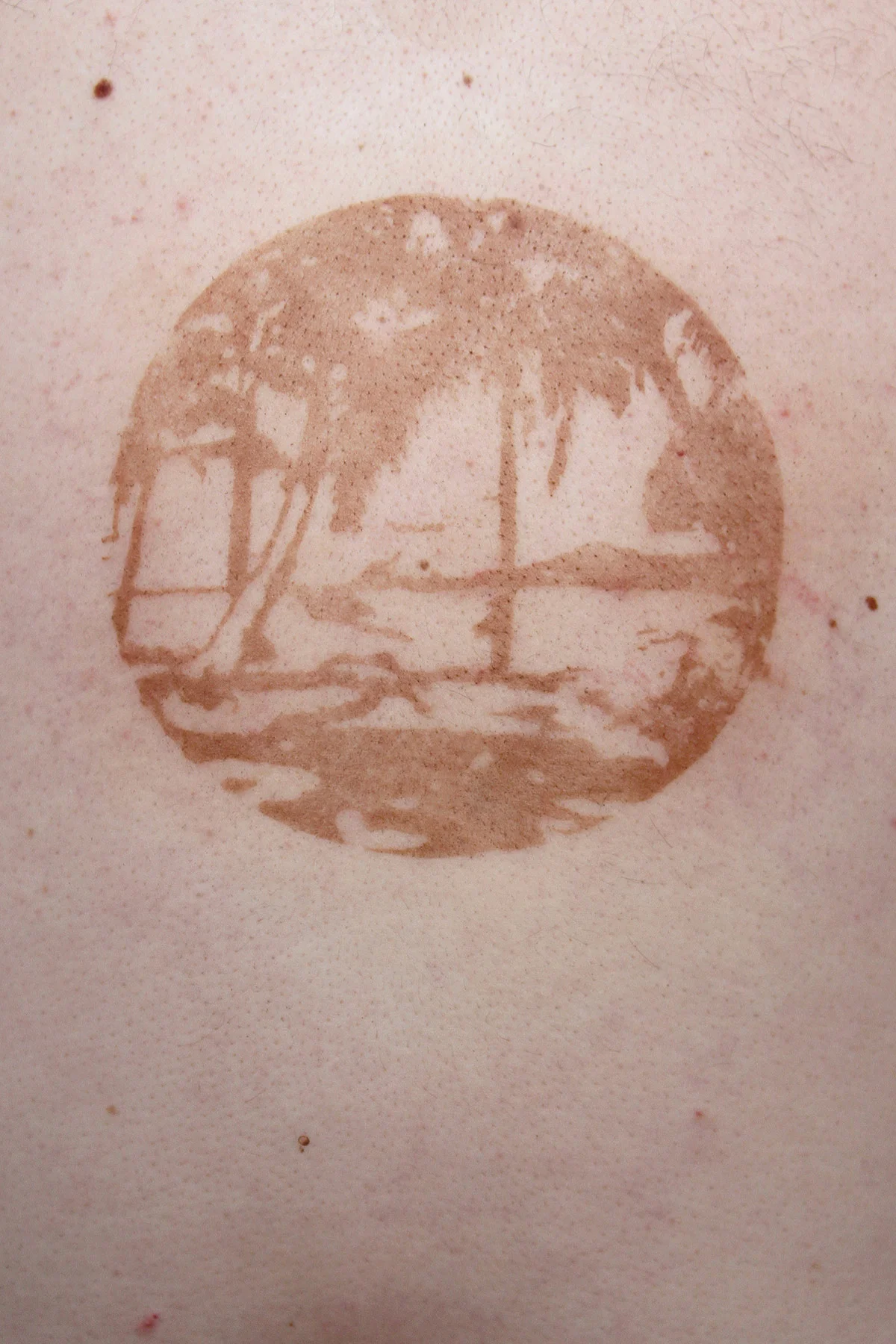 piel-4.jpg