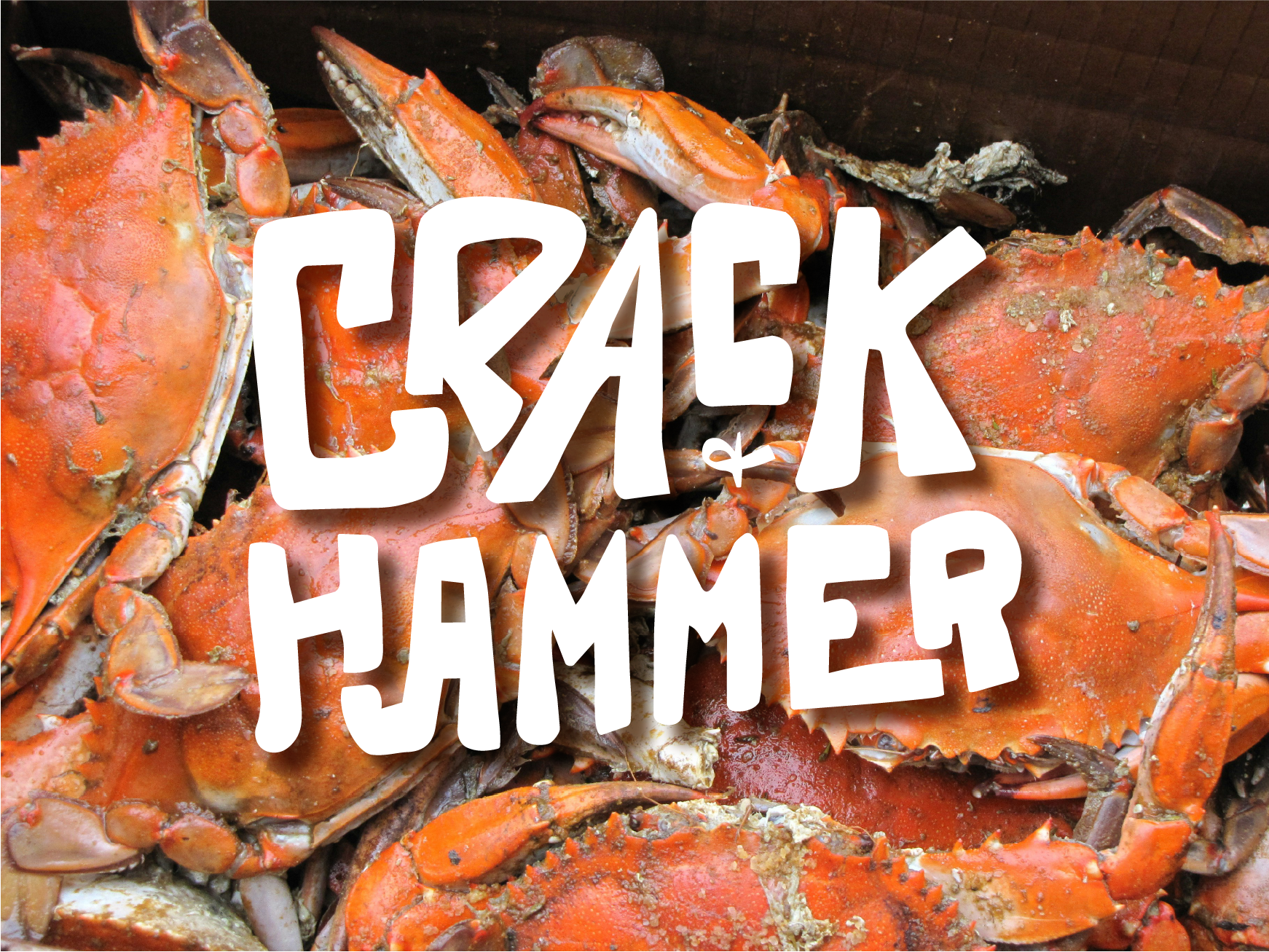 Crack & Hammer