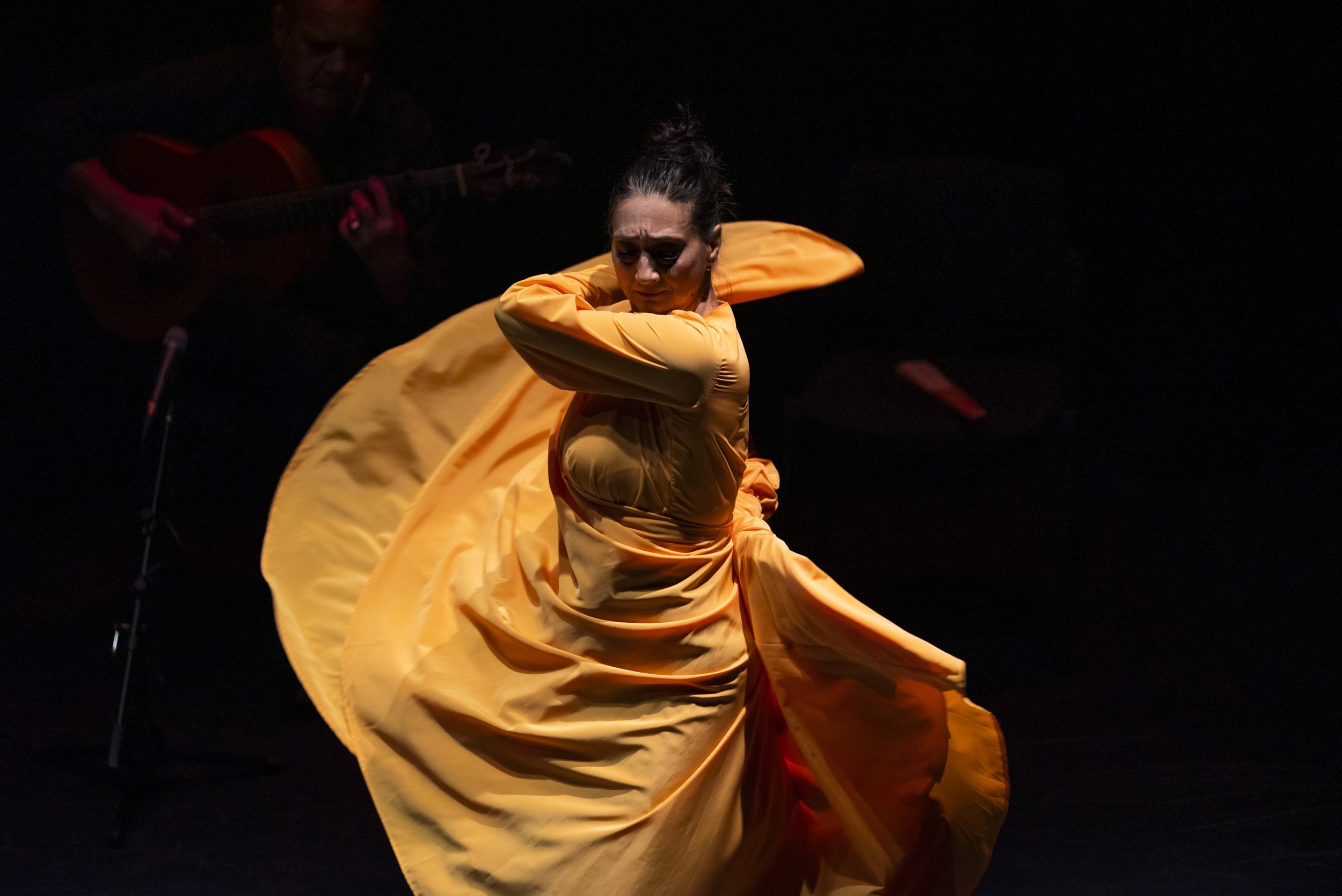 FLAMENCO FOR EVERYBODY