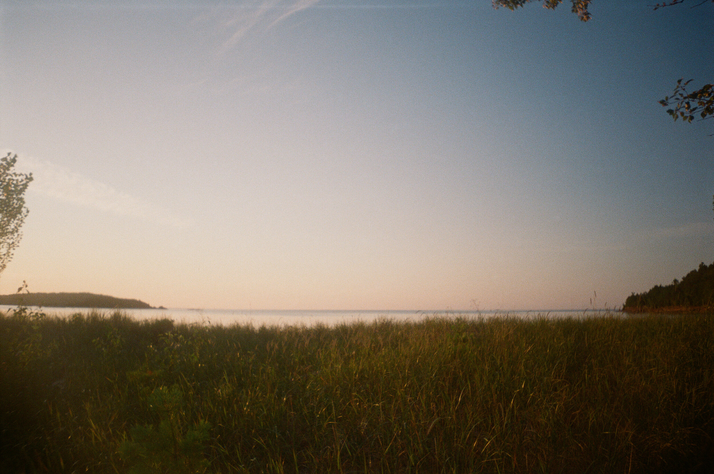 08.19-Films-4 copy.jpg