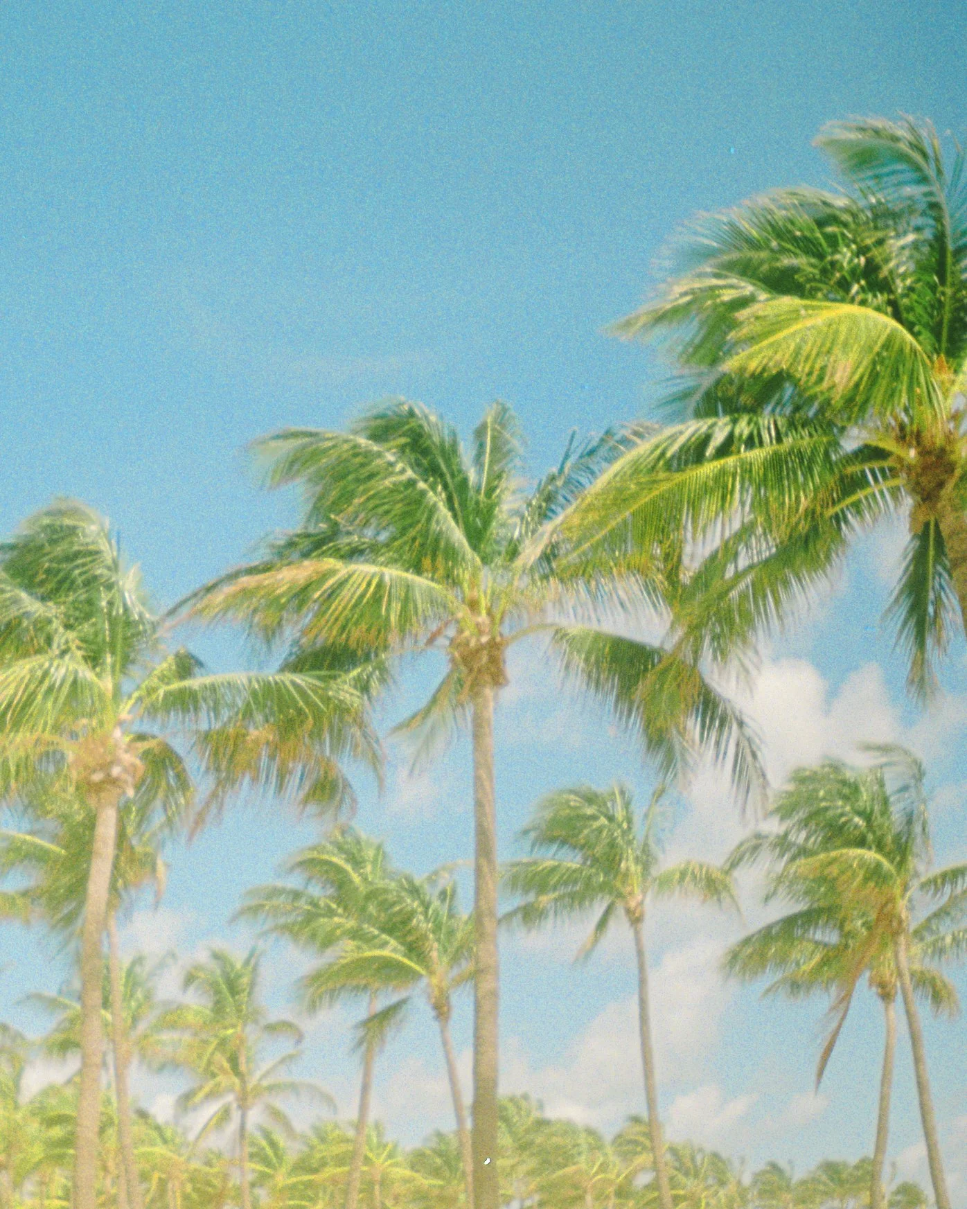 03.16.21-MIA-FILMS_NEXT-27 copy.jpg