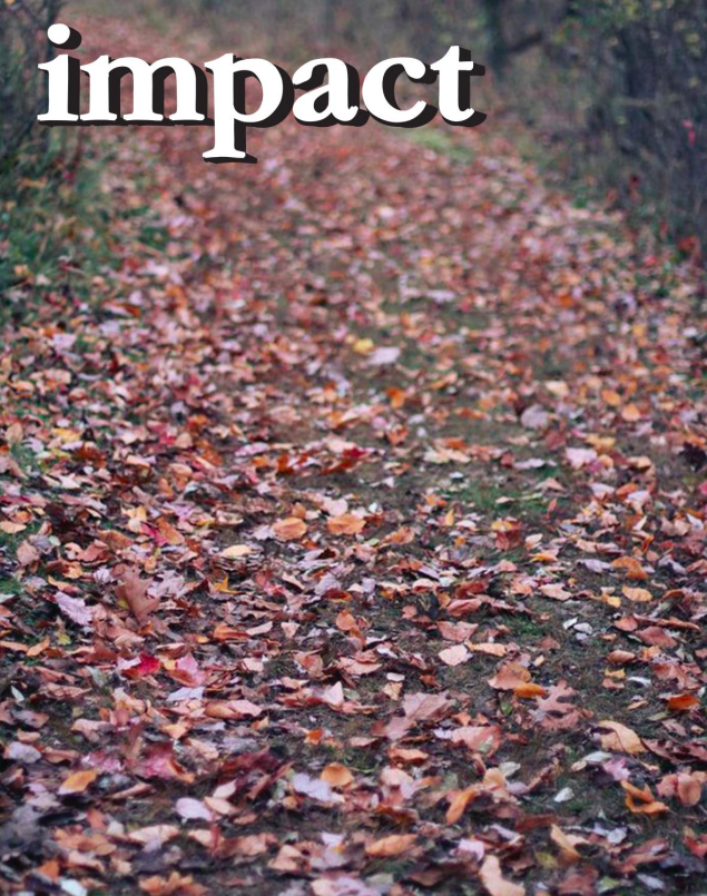 Impact: Nov 2013
