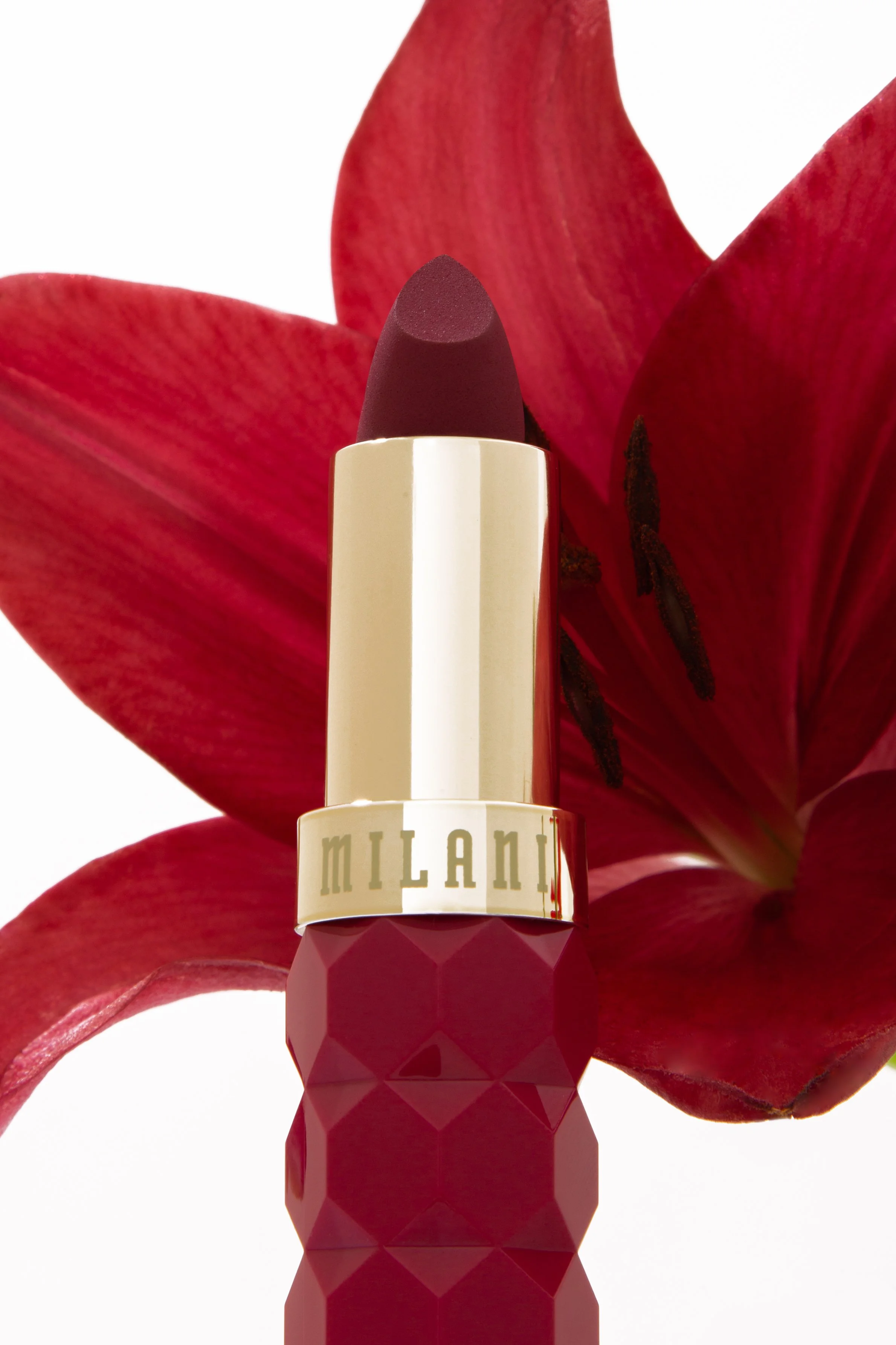 Milani-Detail-Fleur.jpg