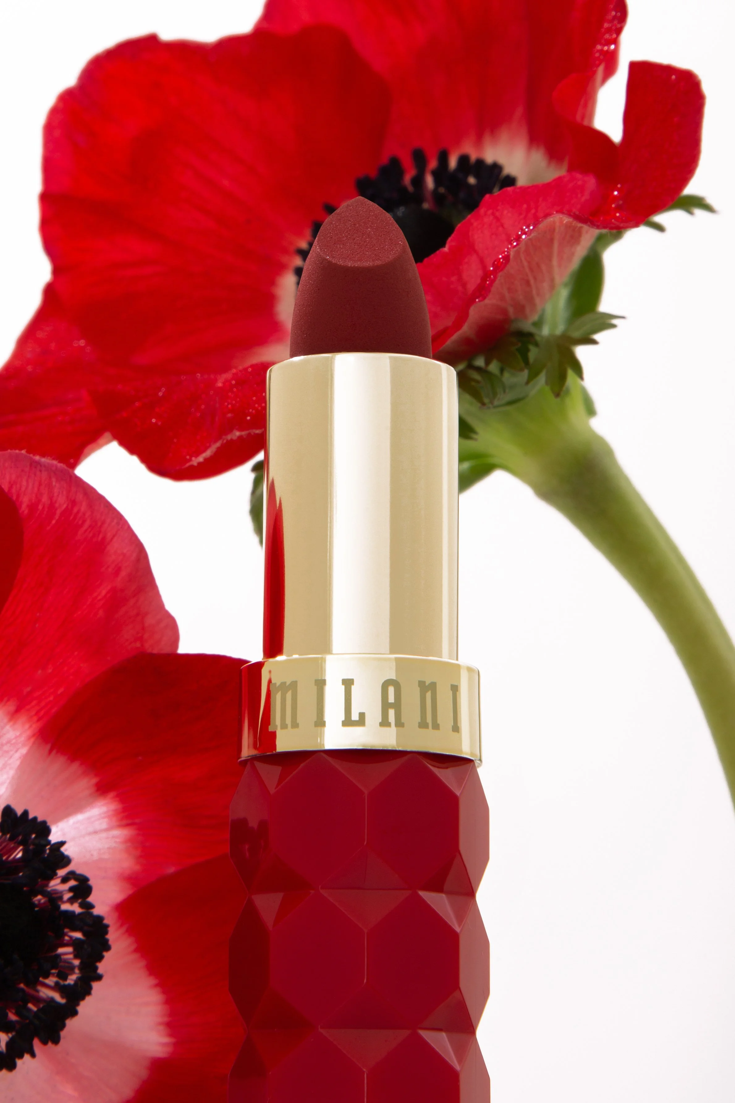 Milani-Detail-Poppy.jpg