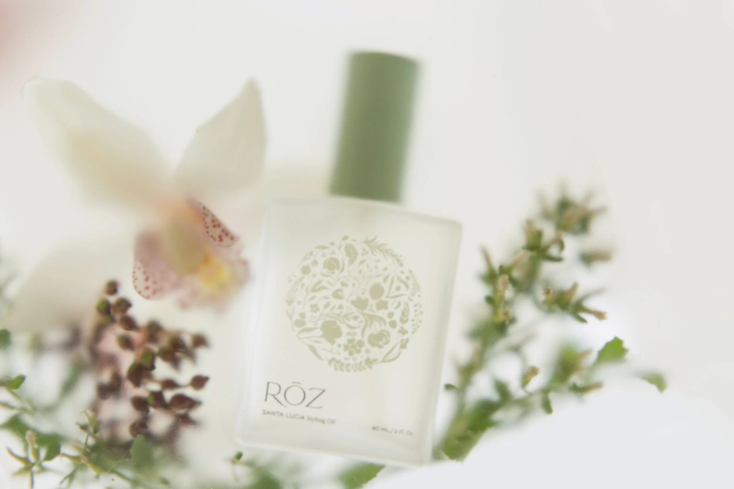 ROZ-Holiday-PR-1.jpg