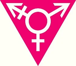 The pink triangle, a symbol which originated with hate and ostracization, marking our community in victimhood, now reclaimed. We think magnus hirschfeld would be proud. 