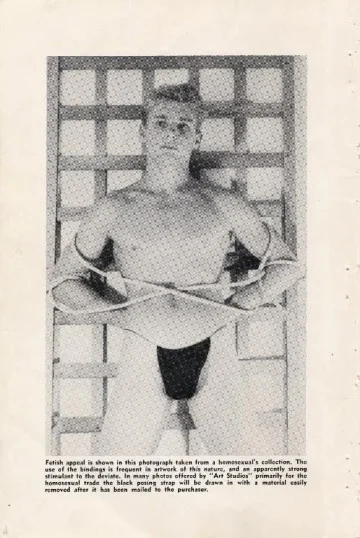 One of the infamous 'pornographic' images that led to the downfall of the purple pamphlet.