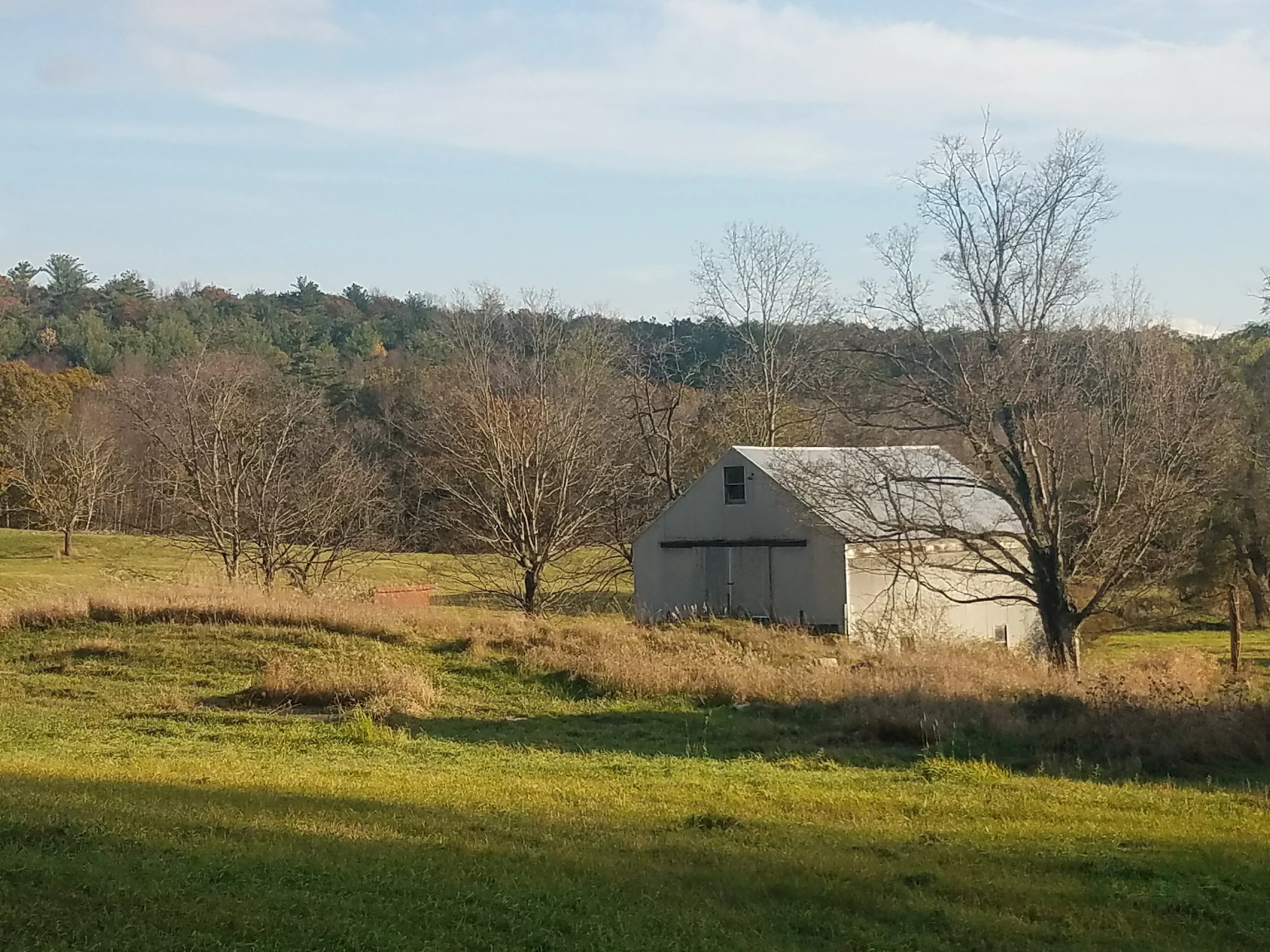 wa  site photo 160752  11 02 17.jpg