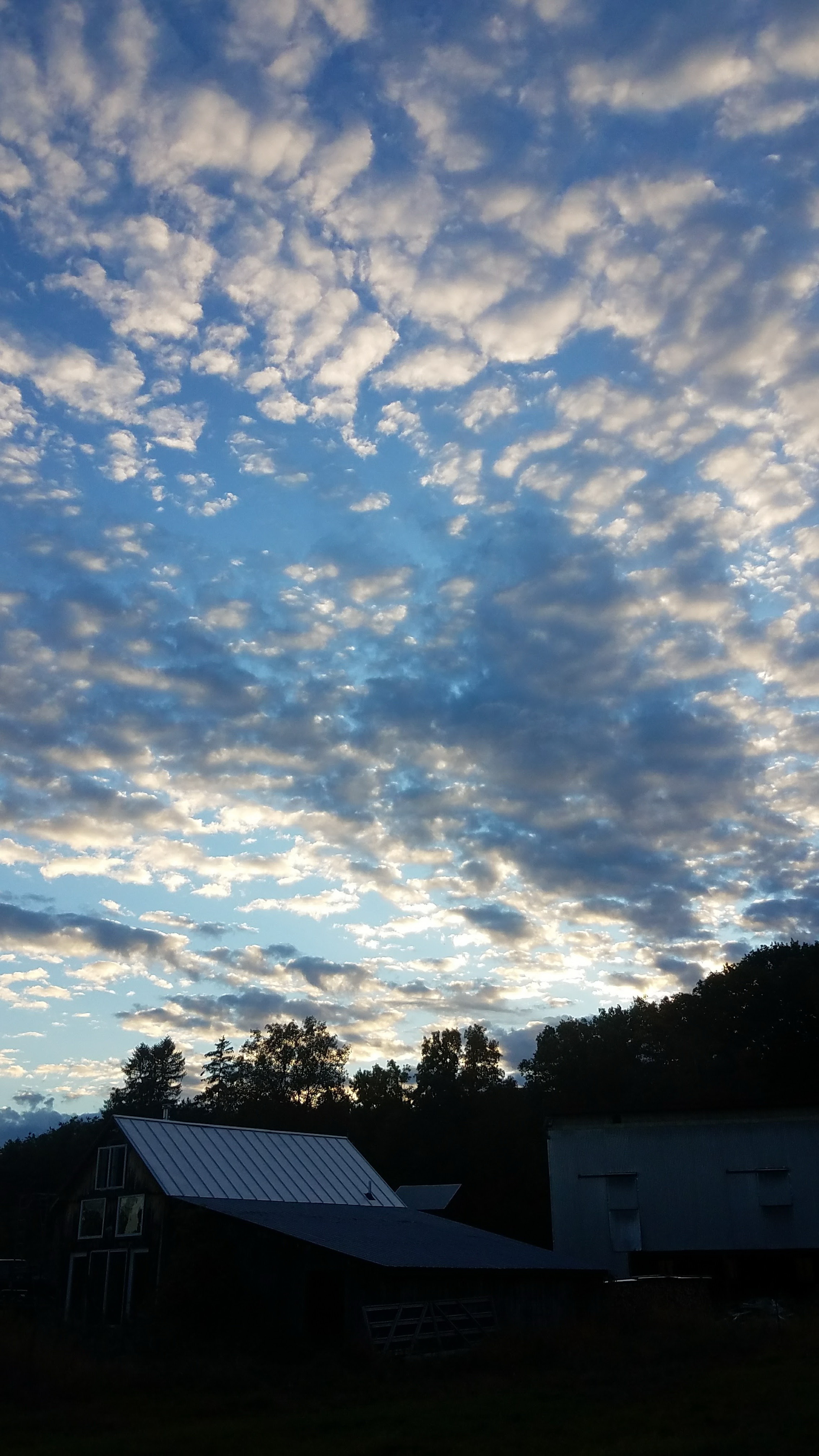 wa  site photo 180443  10 06 17.jpg