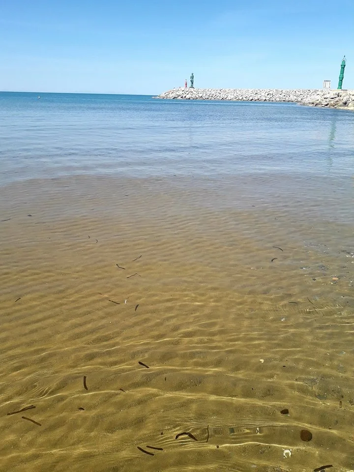 San Vincenzo2.jpg