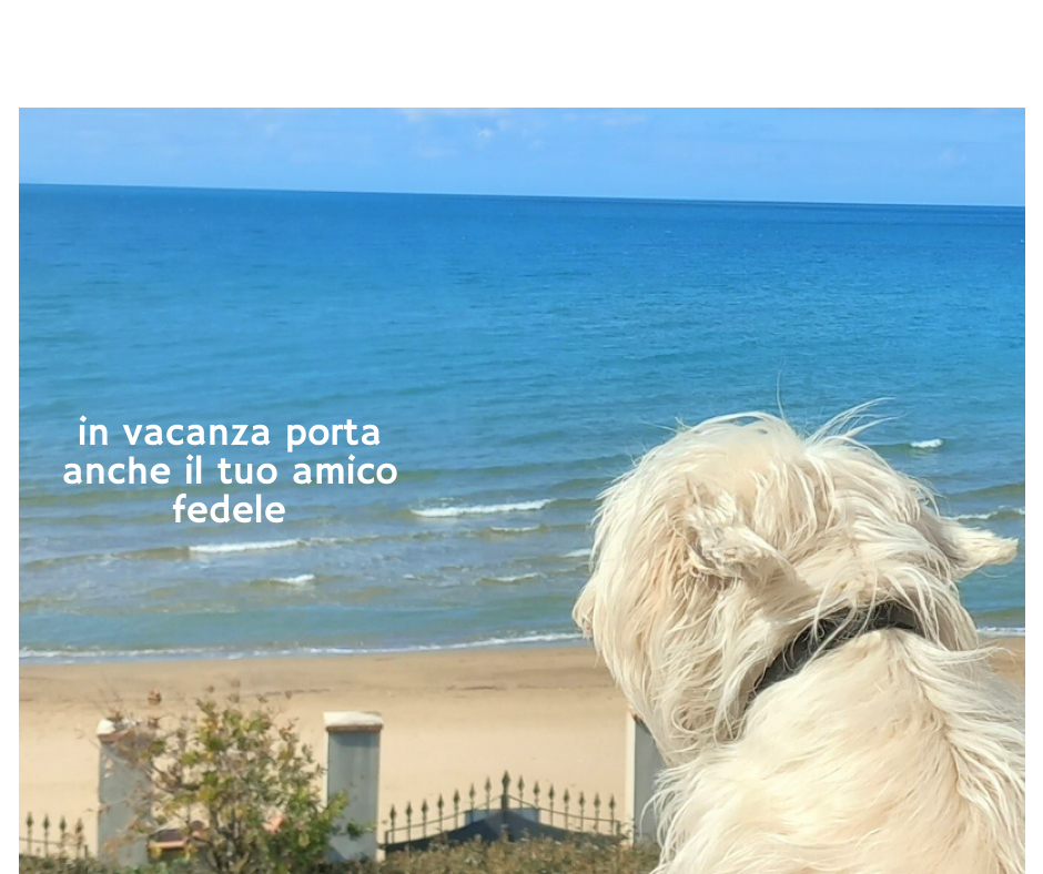  In vacanza con il cane 