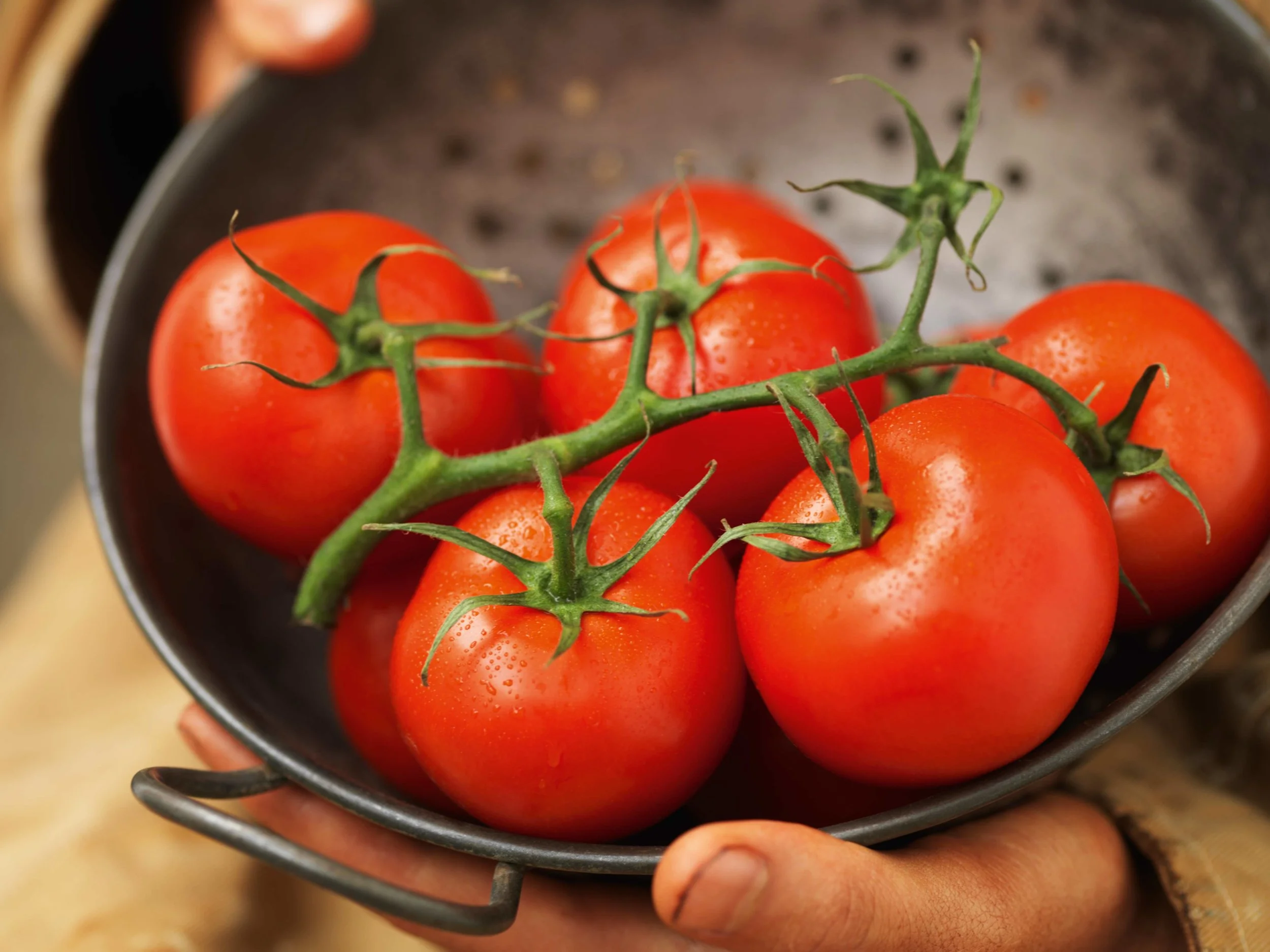 M&S-Tomatoes_0003NW.jpg