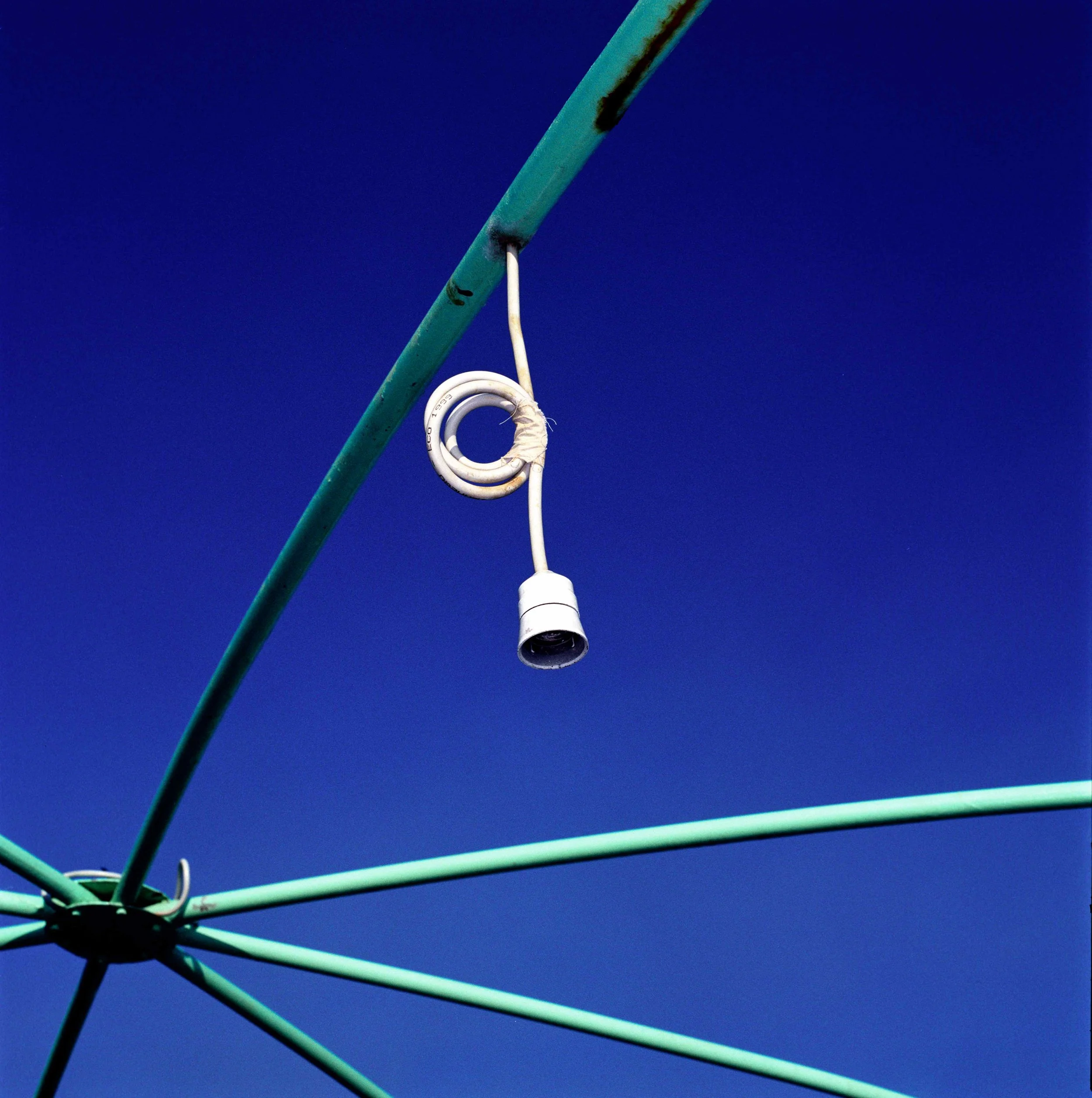 spider_light_editNW.jpg