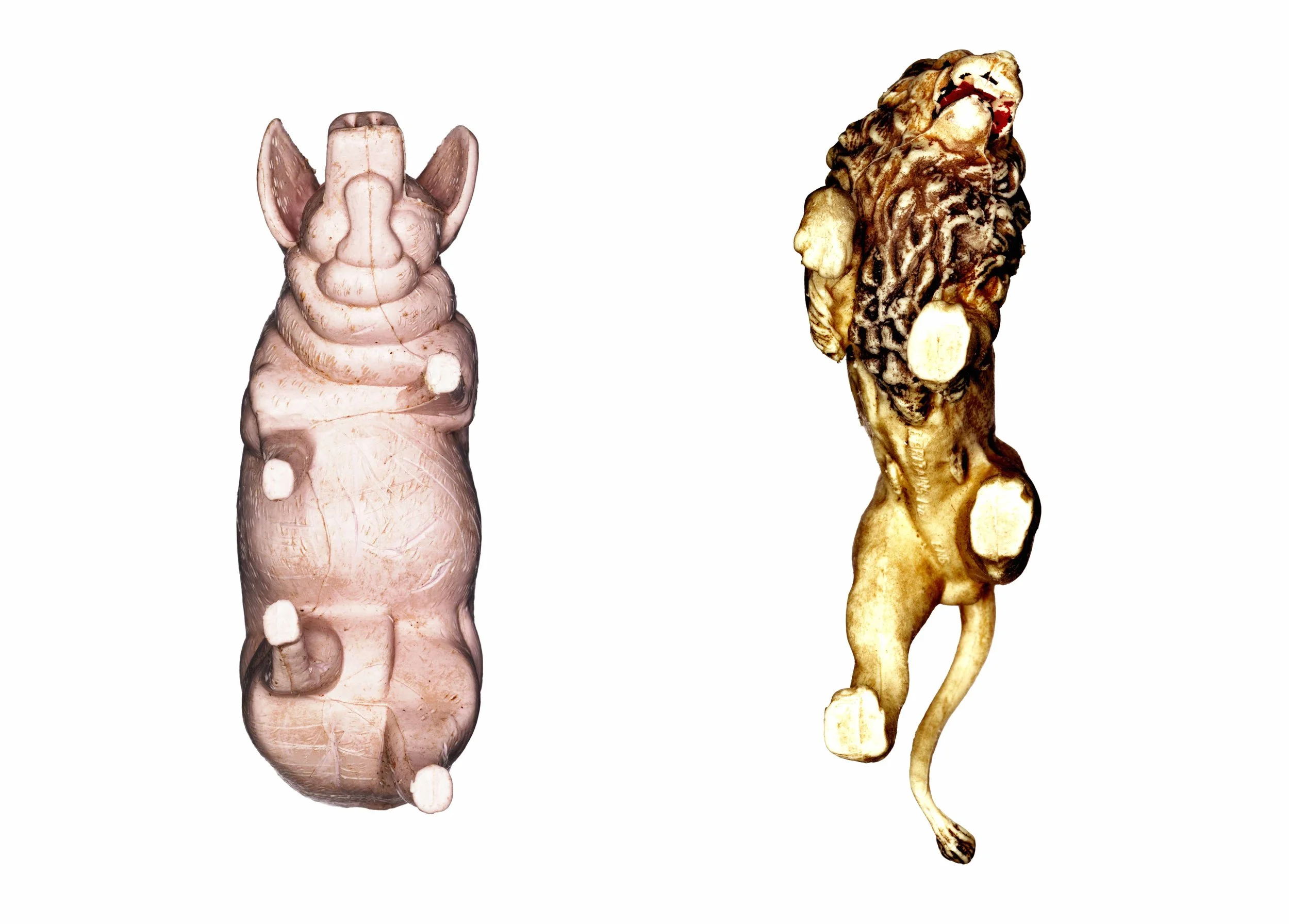 pig-&-LionNW.jpg