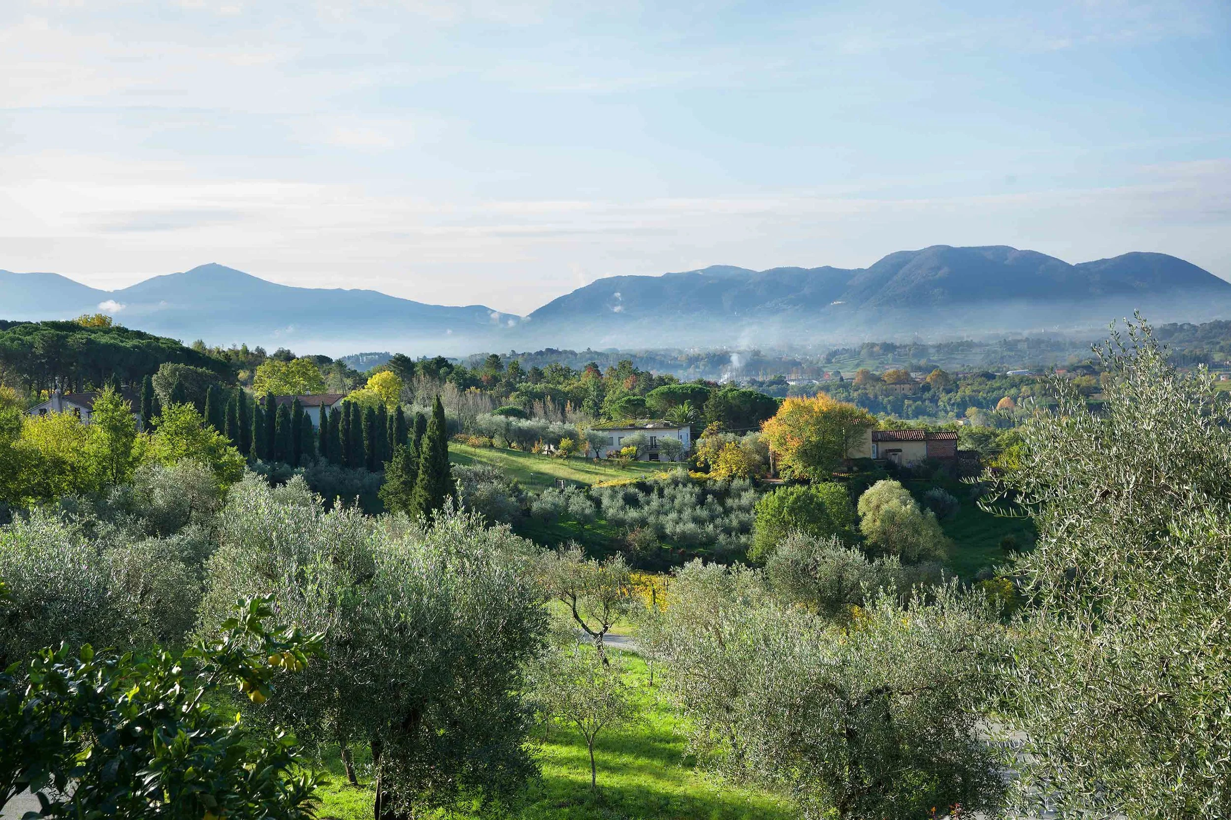 Italy_3777ViewFromMaolinaNW.jpg