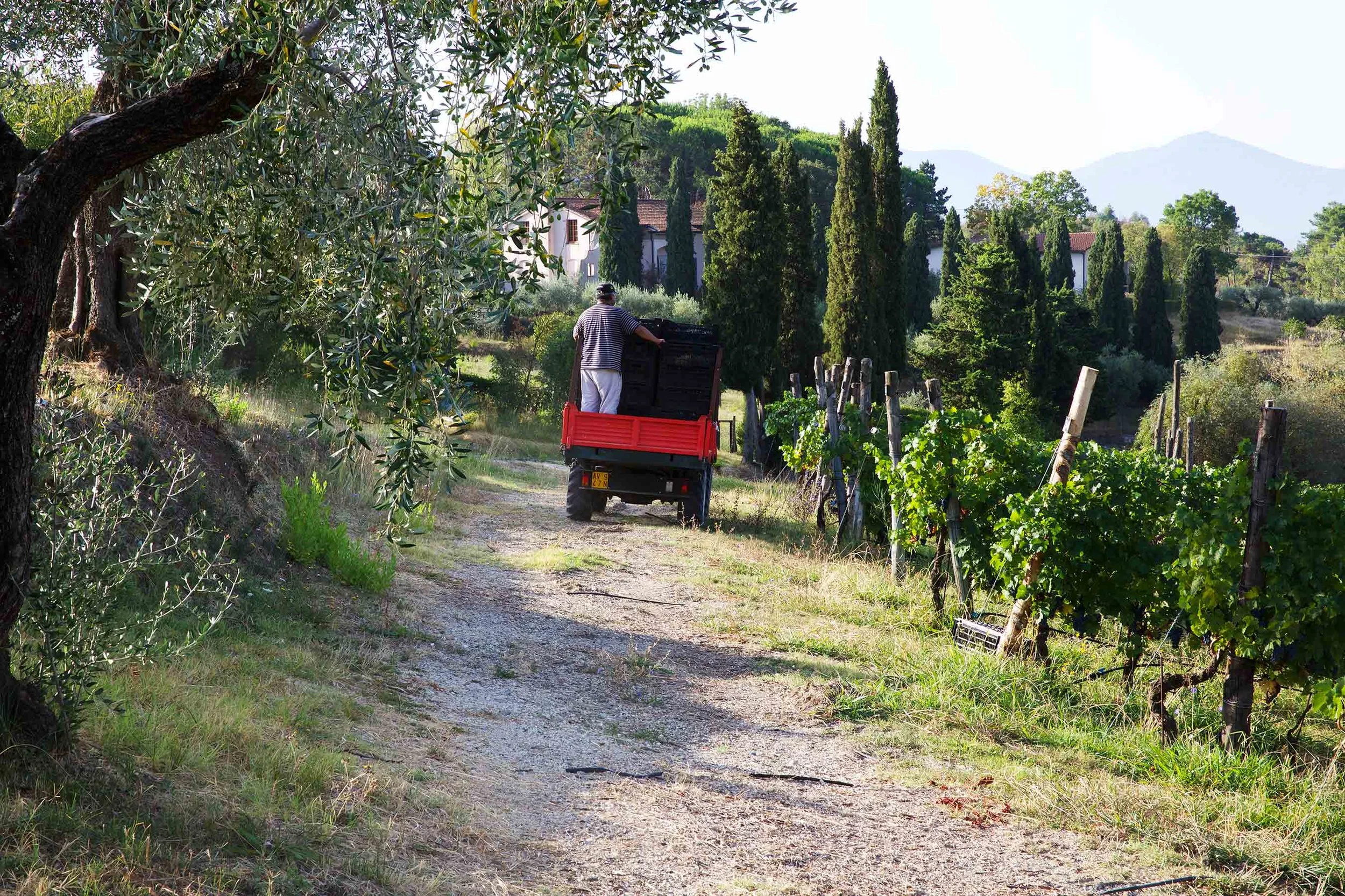 TractorMaolina_8638NW.jpg