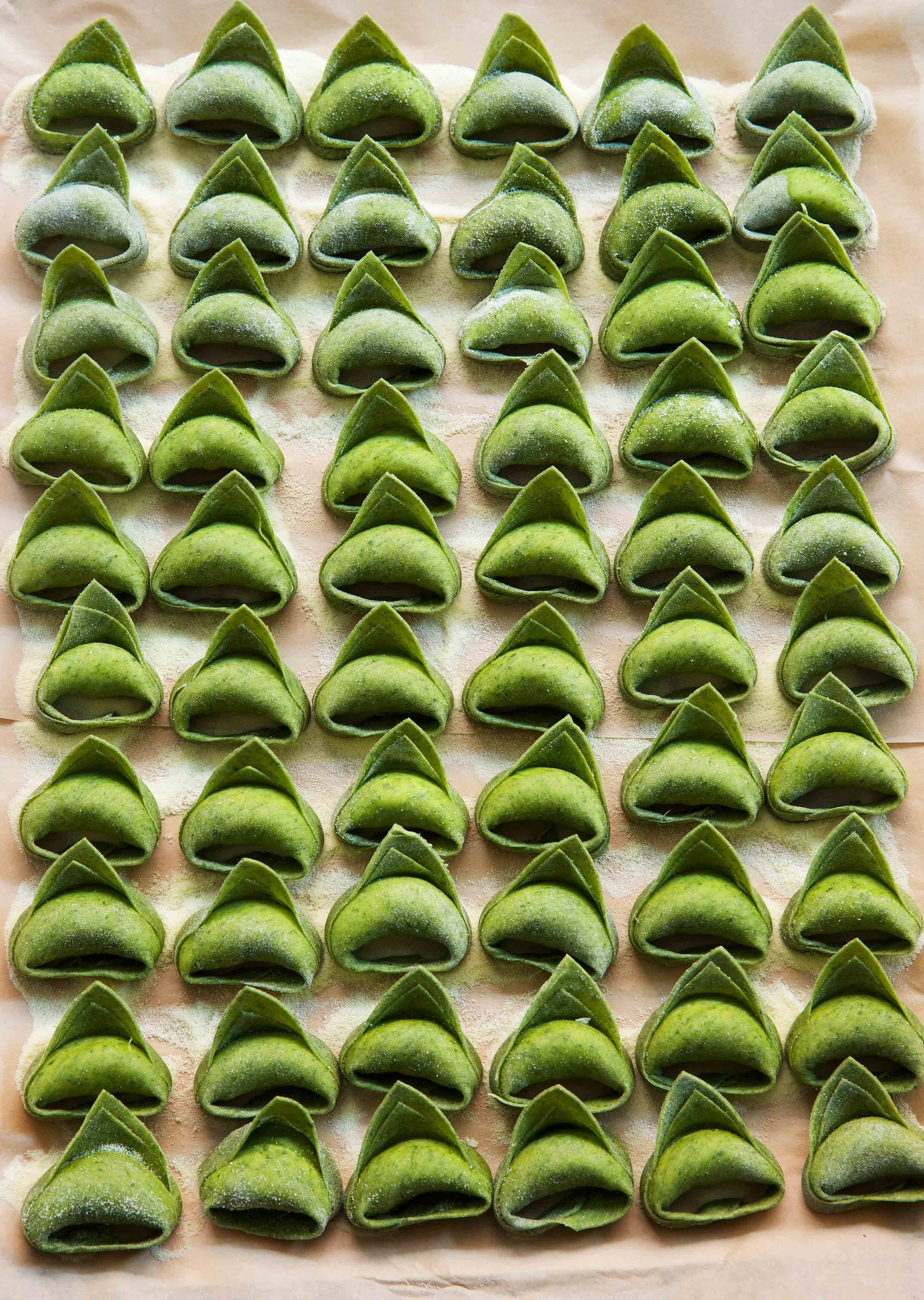 SpinachAgnlottiLinaStores_1938NW.jpg
