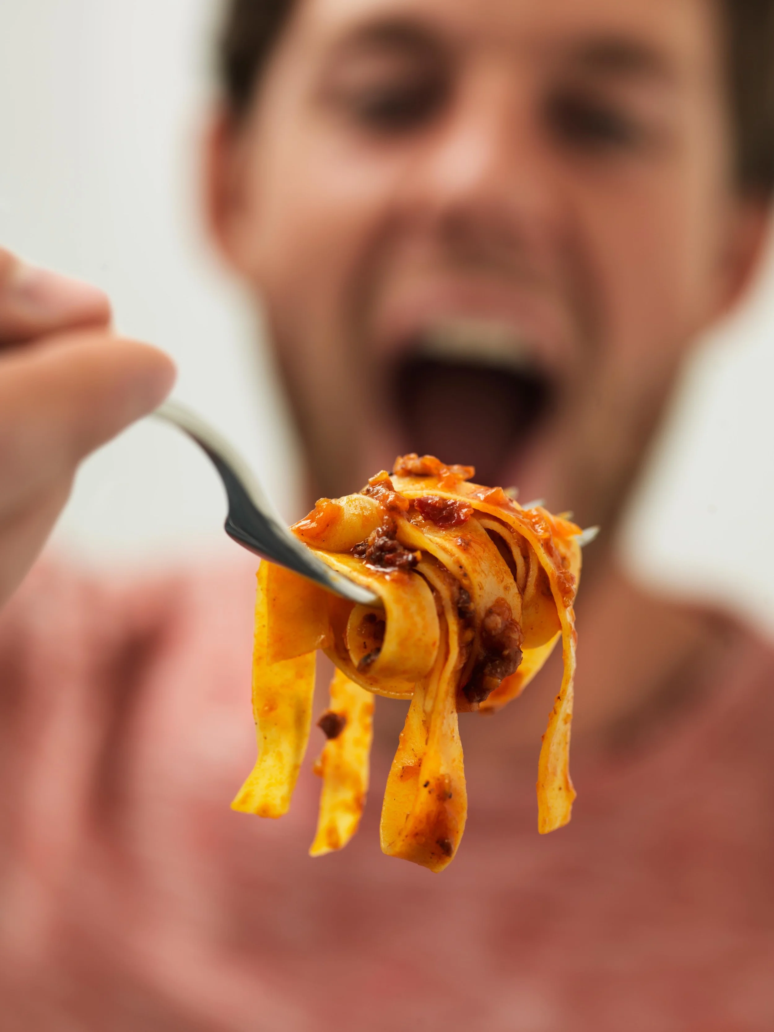 SpagBolForkHeroDarkerNW.jpg
