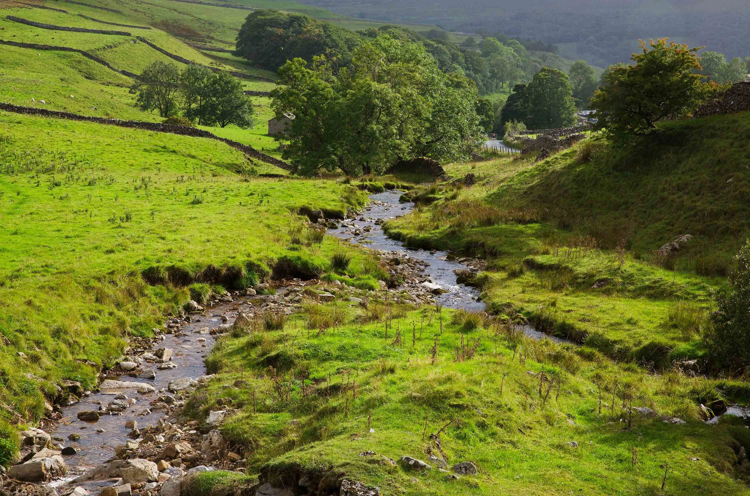 StreamInValley_4612Web.jpg