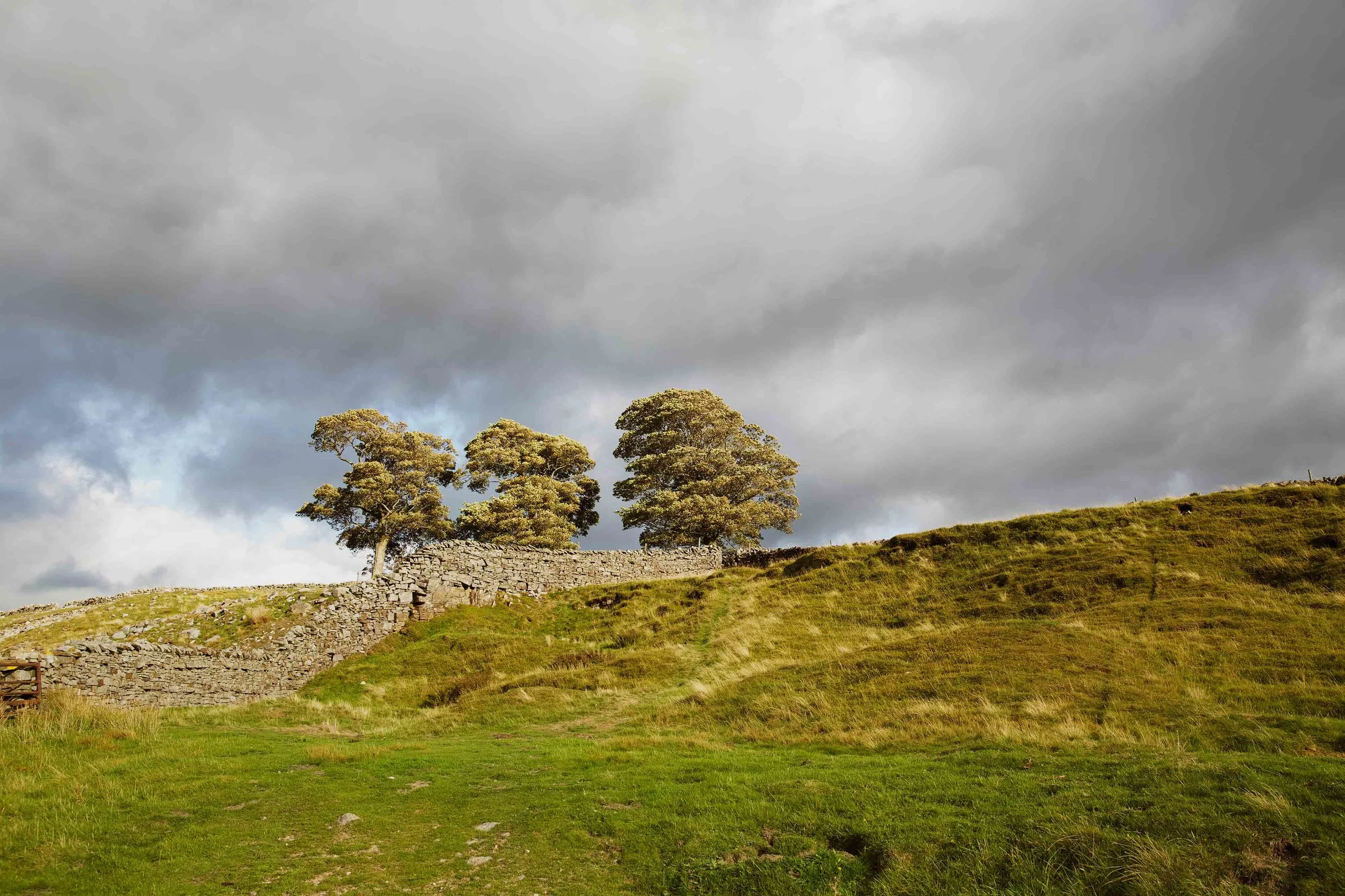 The three trees, in Muker (sounds like a pub)