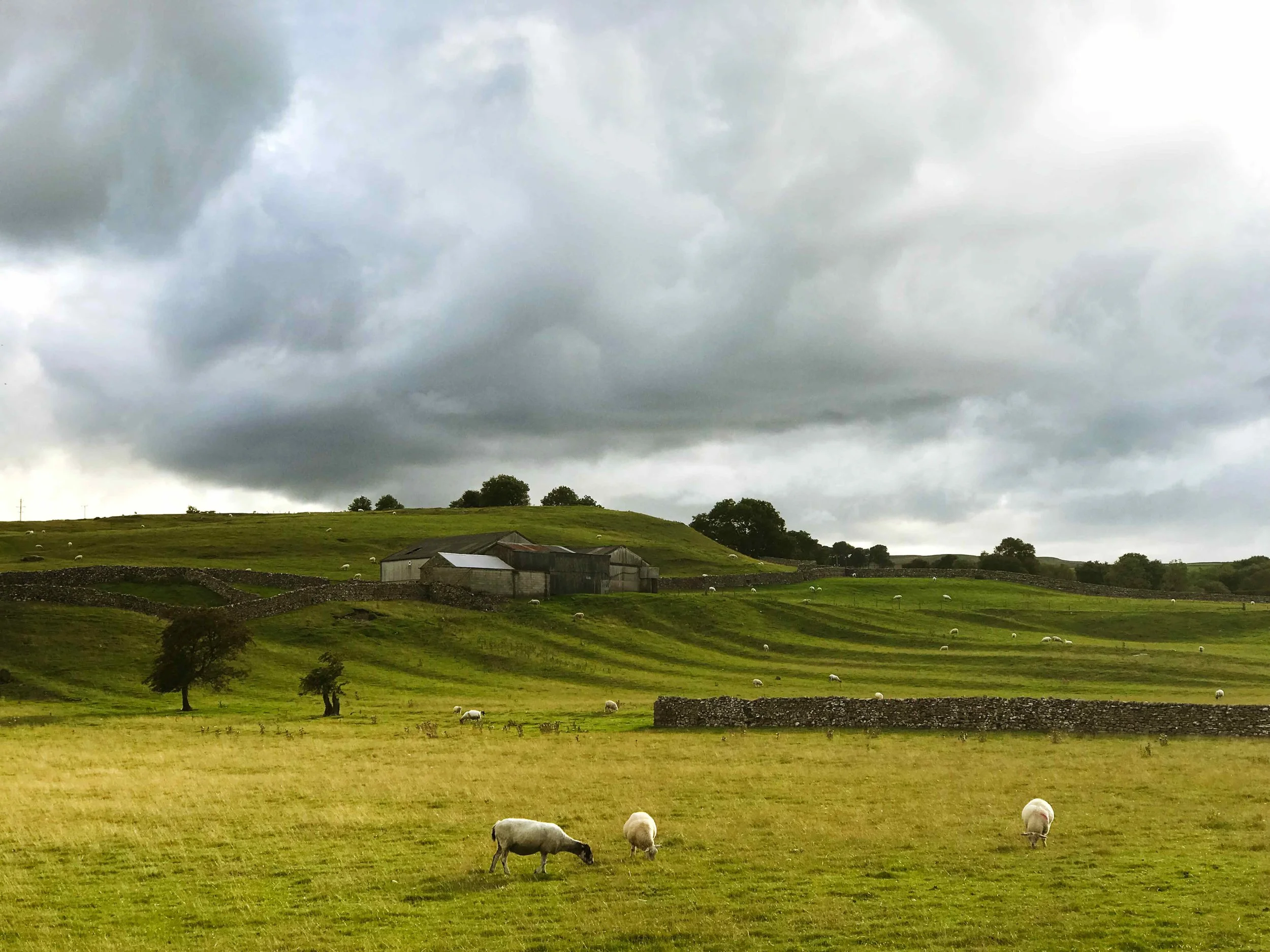 Yorkshire at it’s finest