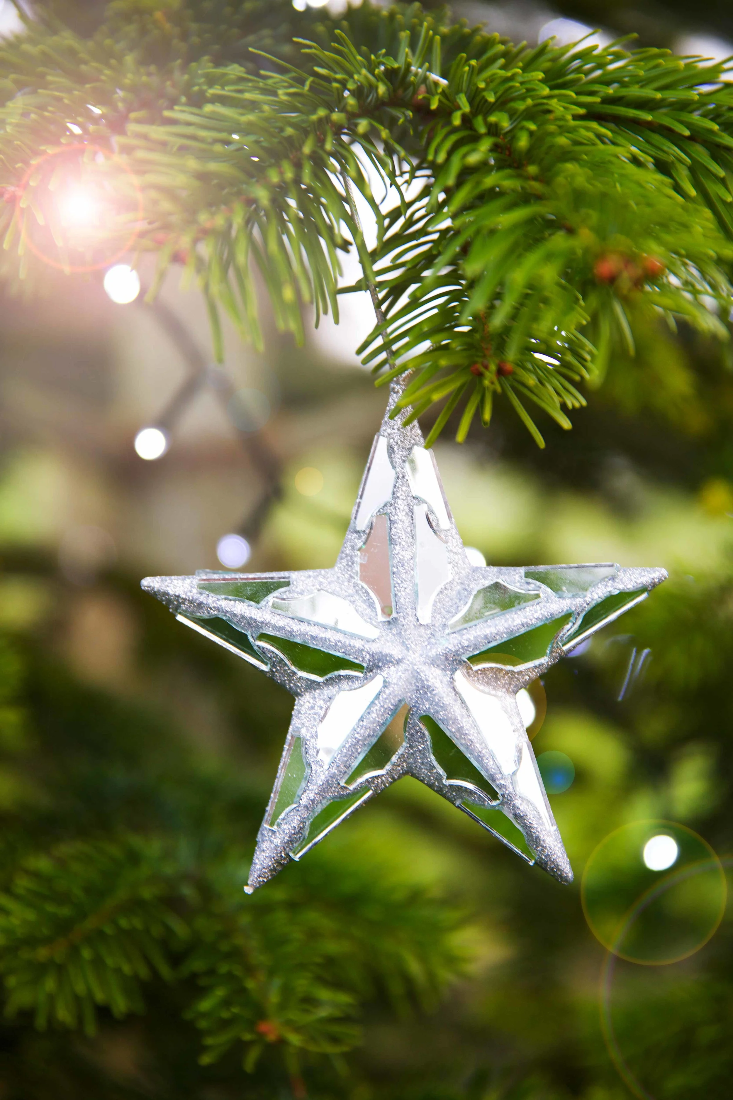 ChristmasSilverStarFlareWeb_6079.jpg