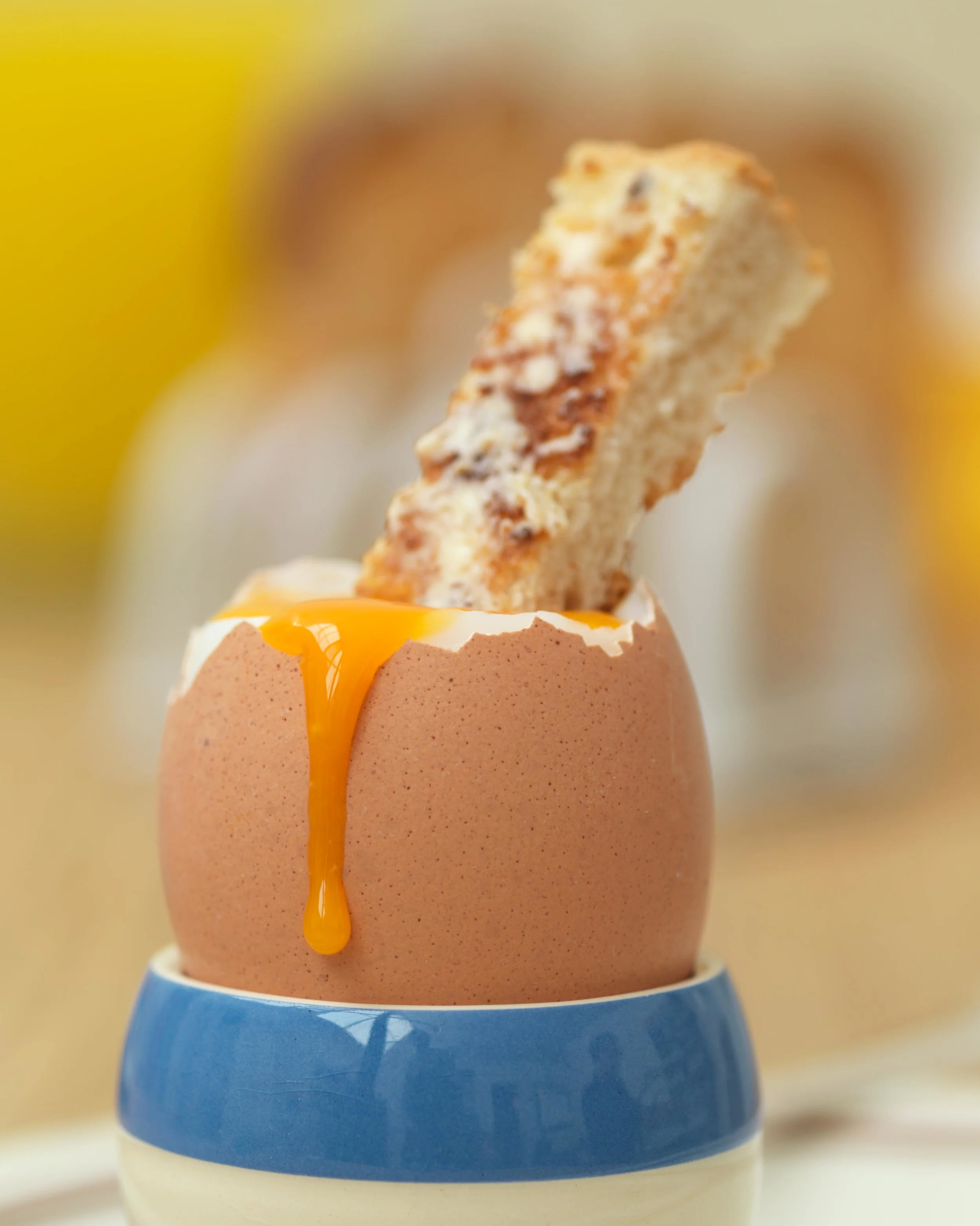 Egg_portrait_5619cropped.jpg