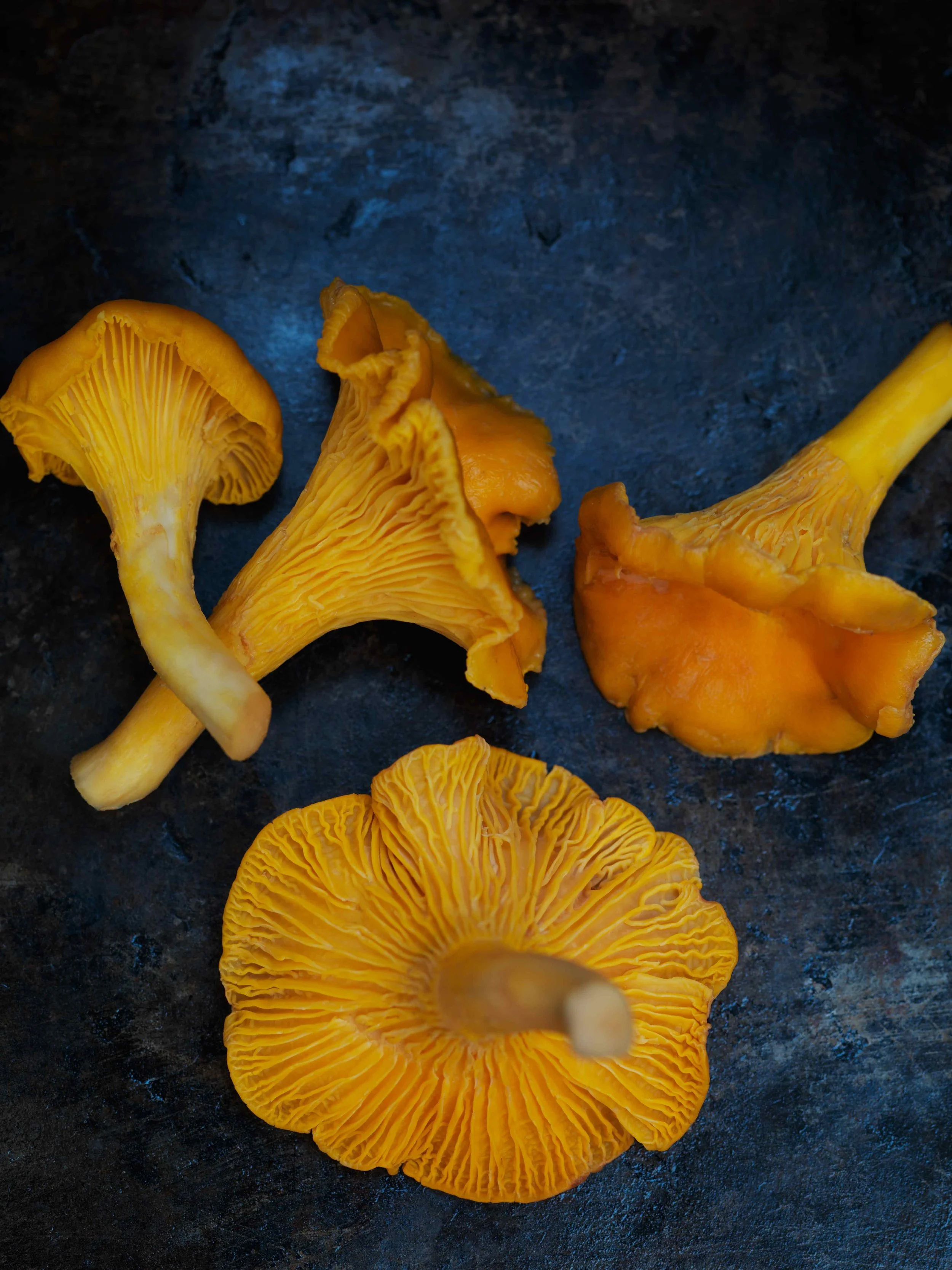 Fresh girolles from the Dolimities (or as predictive text tried to write fresh girlies from the Dolimities)