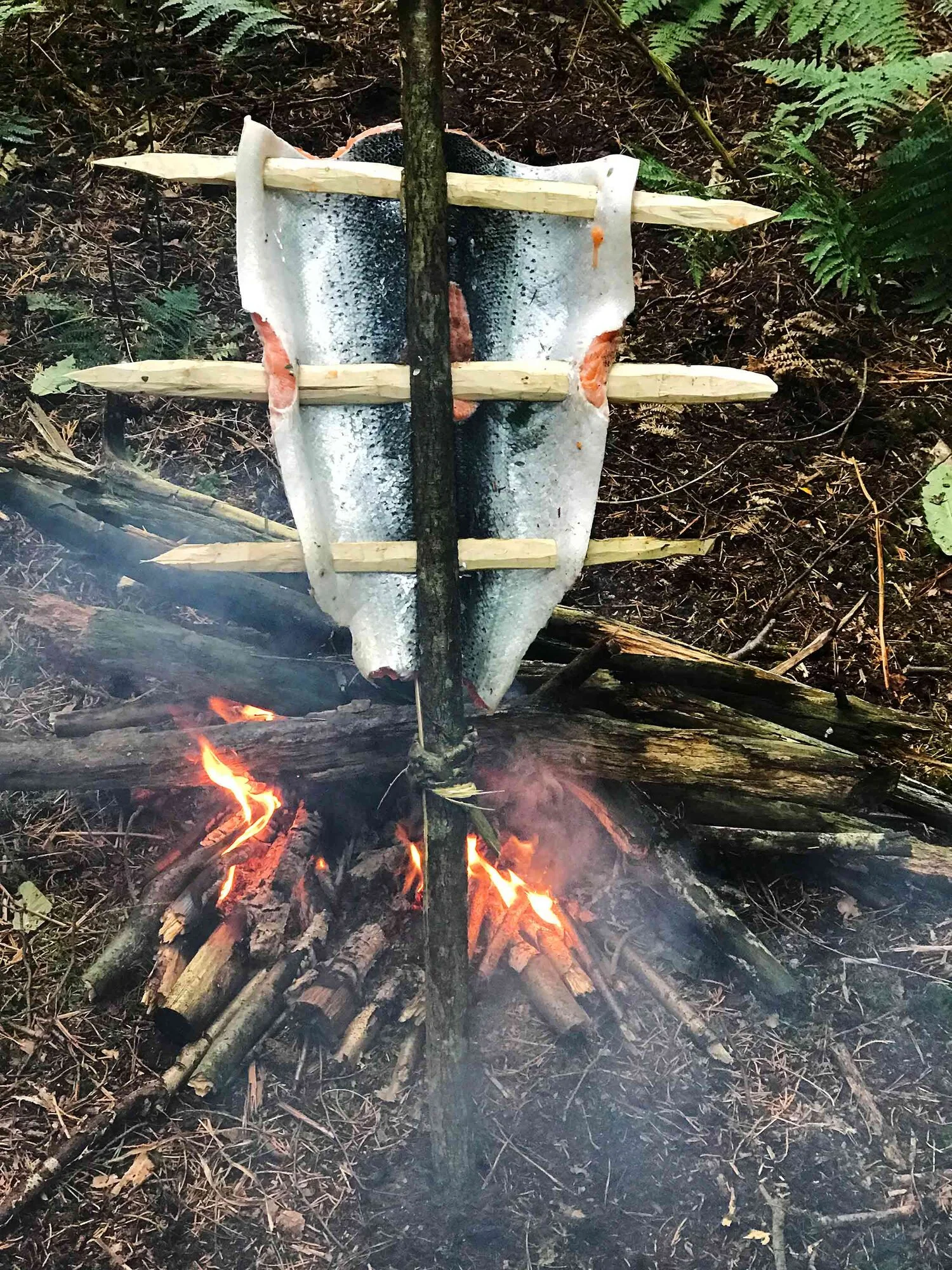 SalmonOnFire_iphoneWeb_2077.jpg