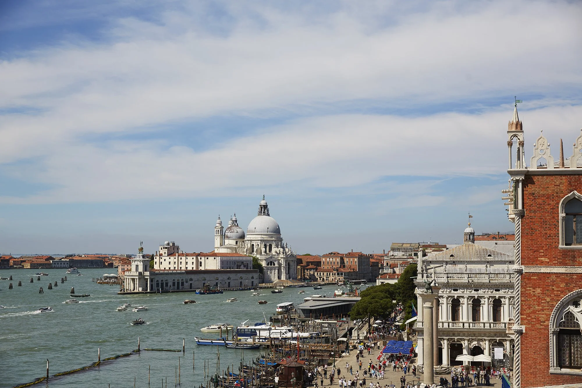 VeniceDistilled_SSchwartz_view_426_web.jpg