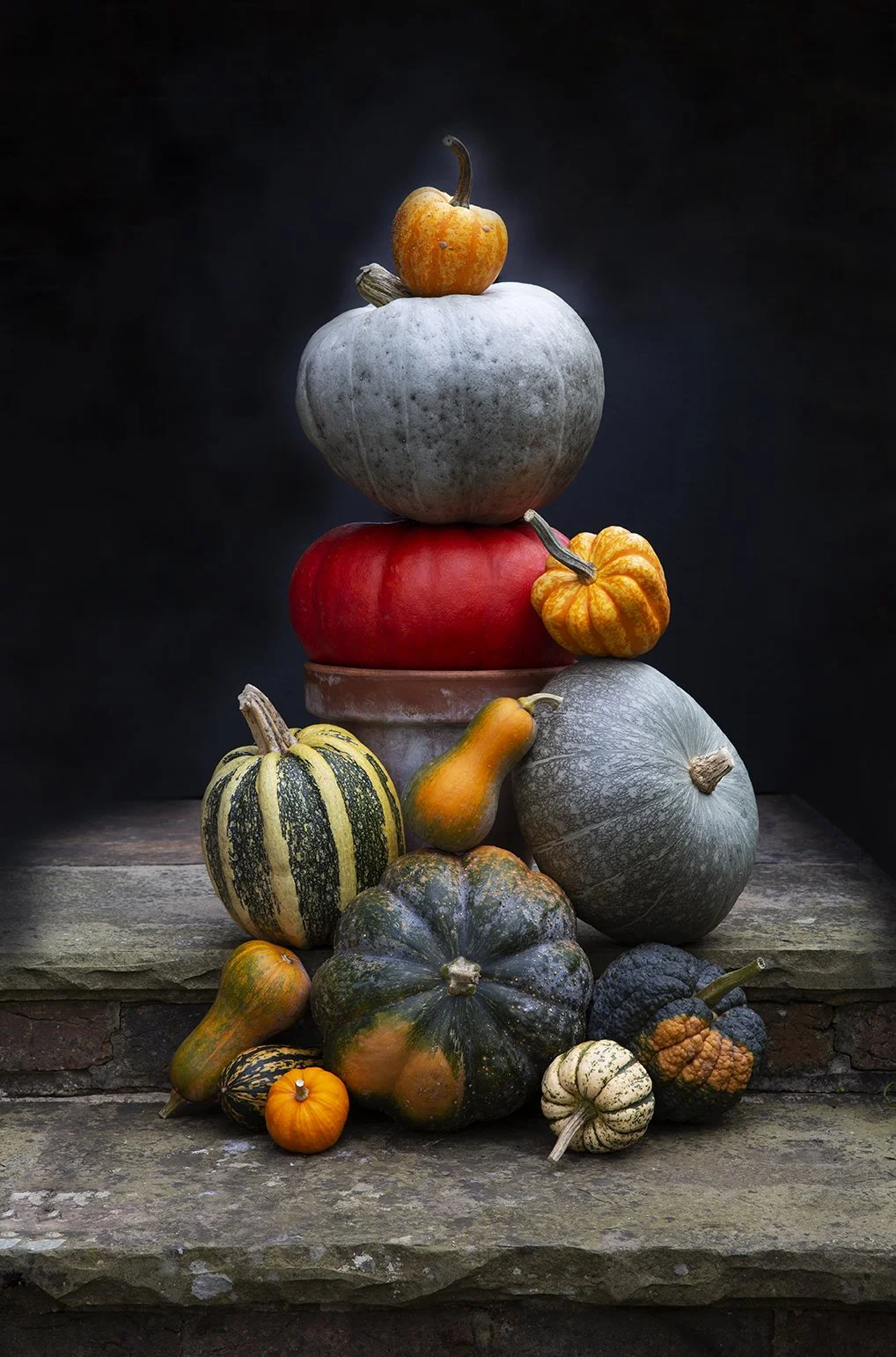 Kew_Ingredients_Pumpkins3_web_1727.jpg