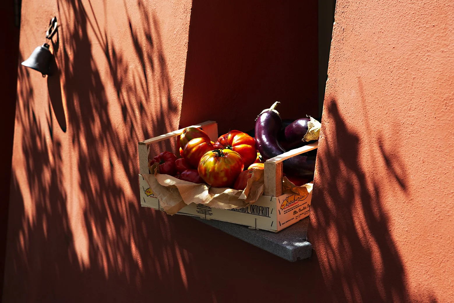 Tomatoes_Aubergines_LeafyShadows_Richer_web_10.49.14.jpg