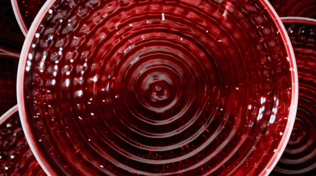 shake.gif
