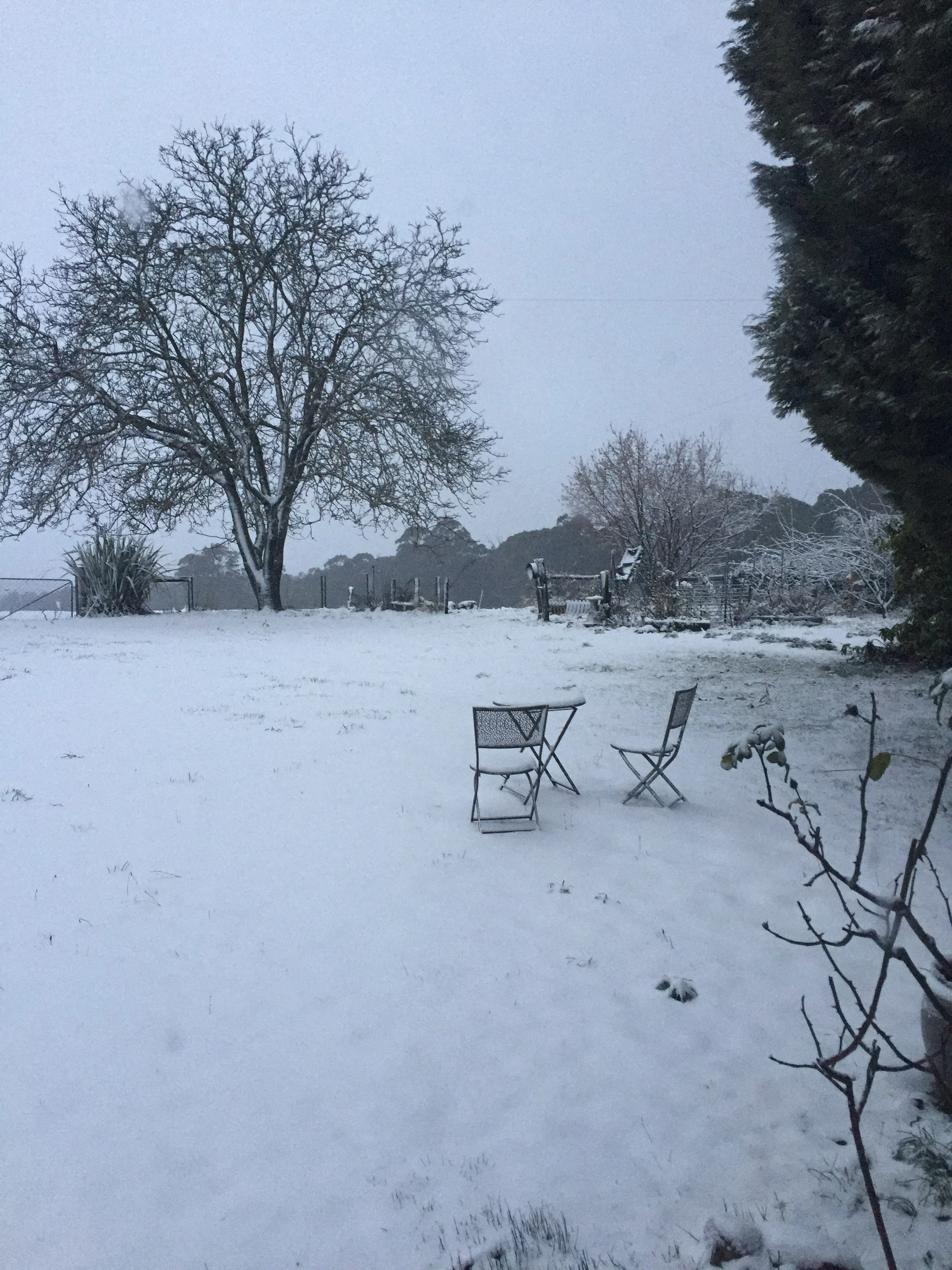 ASHBY GARDEN IN THE SNOW
