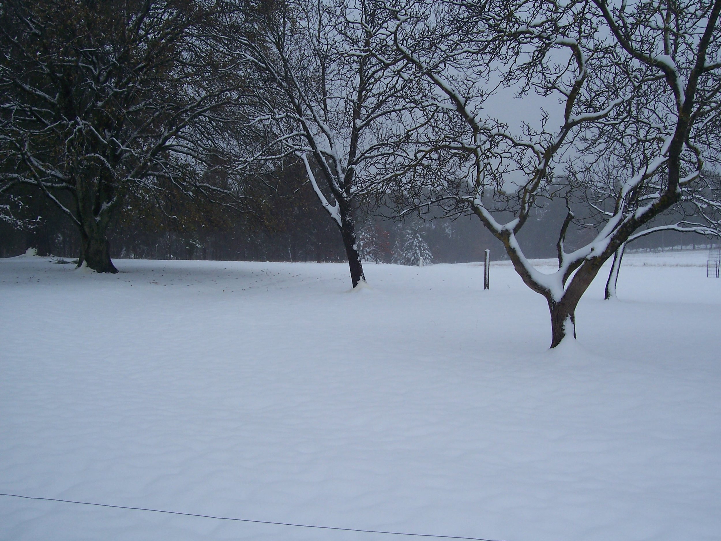 After snow fall