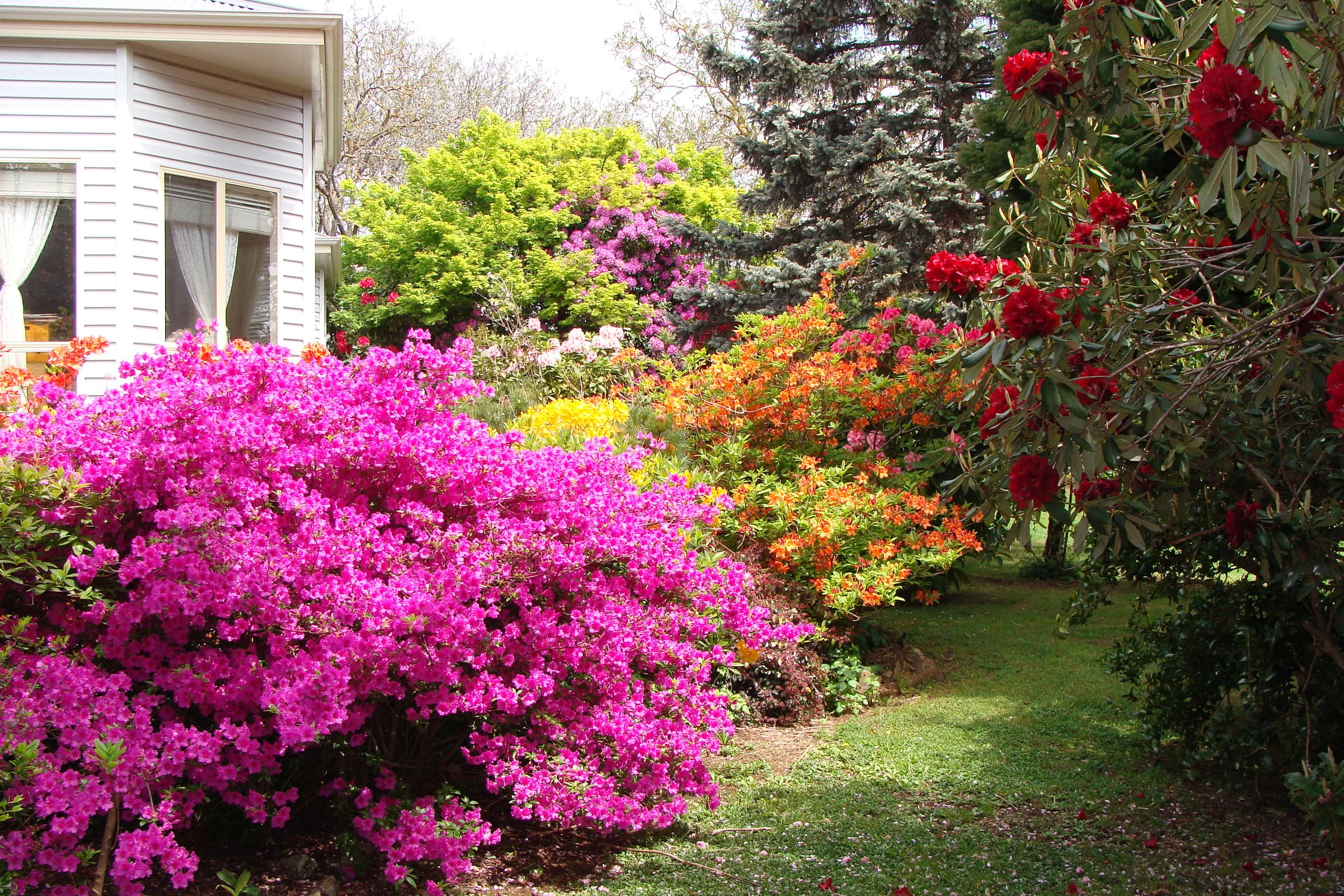 Crouchers vibrant garden