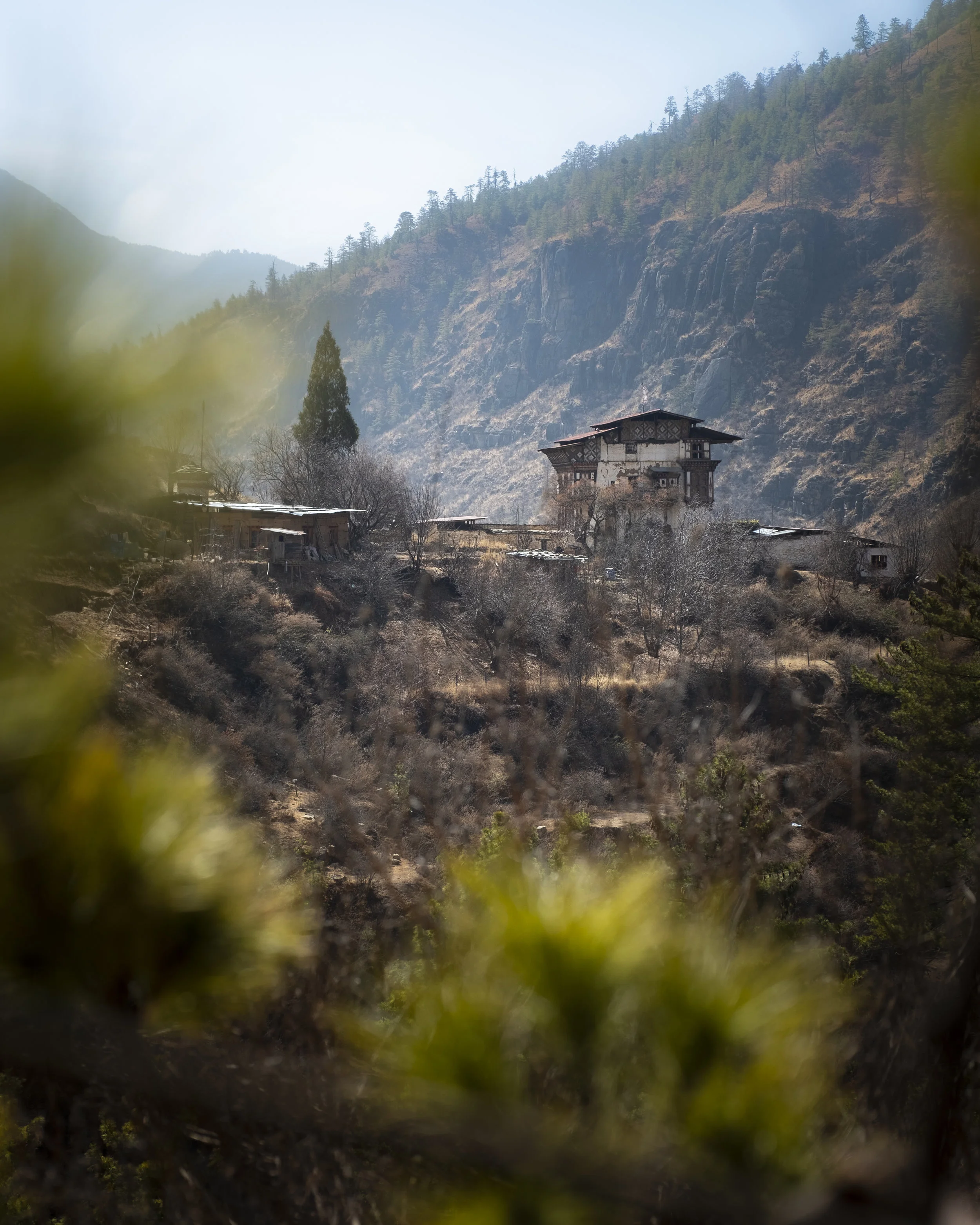 Paro to Thimpu-3.jpg